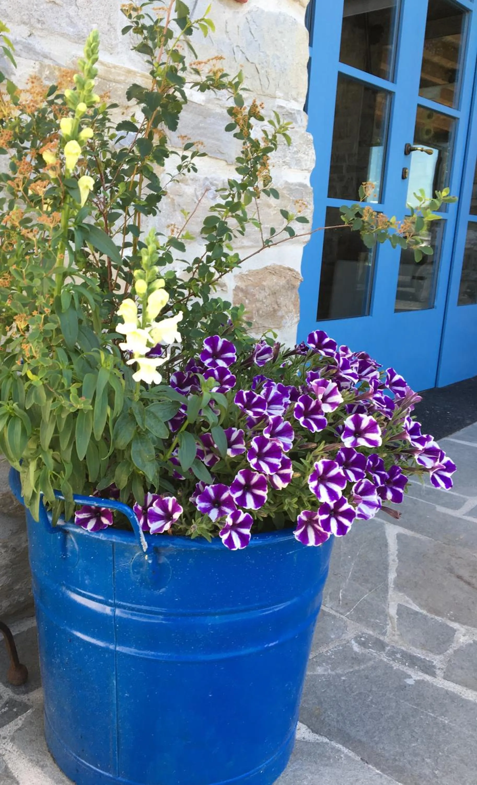 Garden in La Locanda nel vento