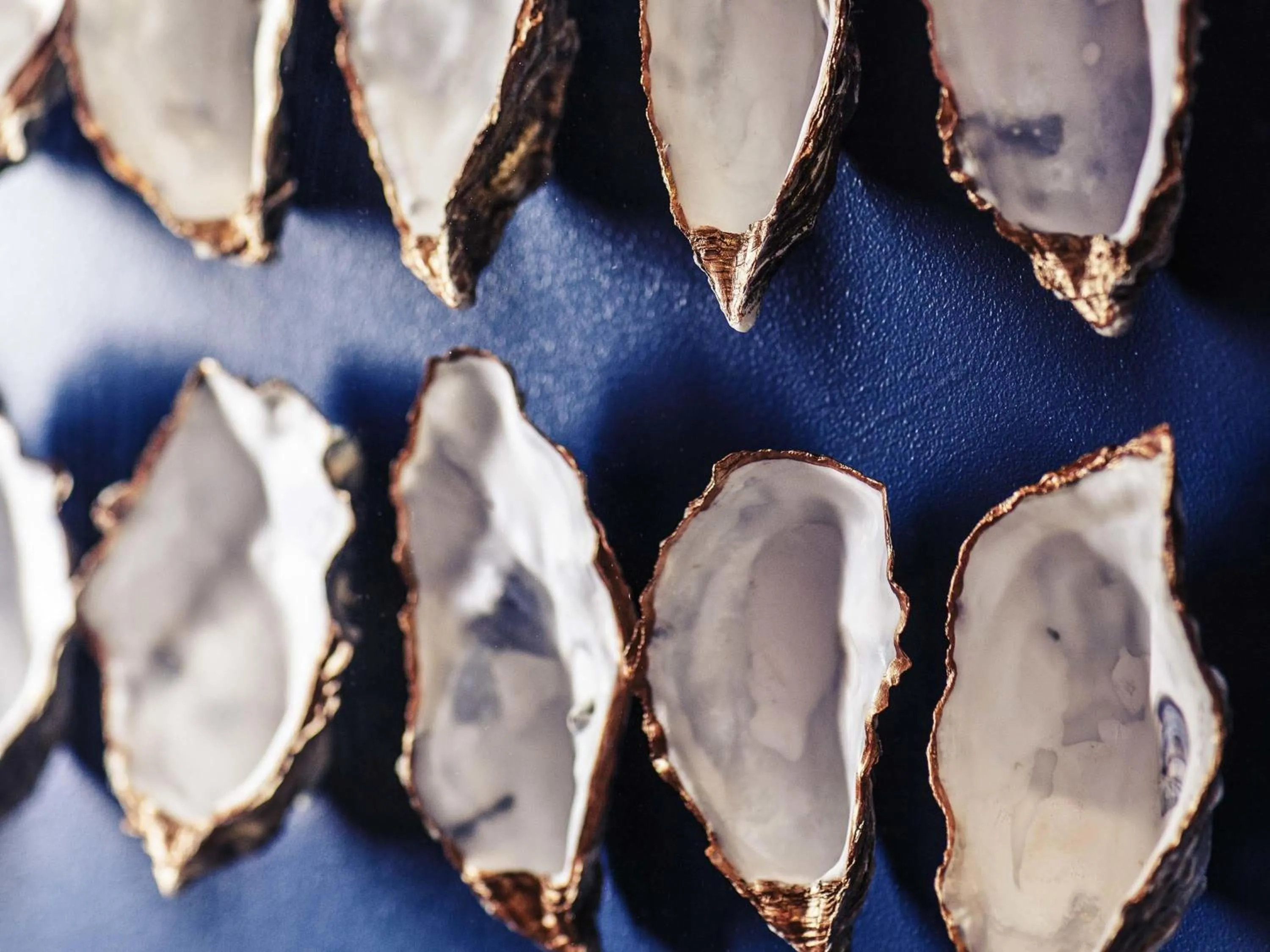 Restaurant/places to eat in Mercure Swansea Hotel