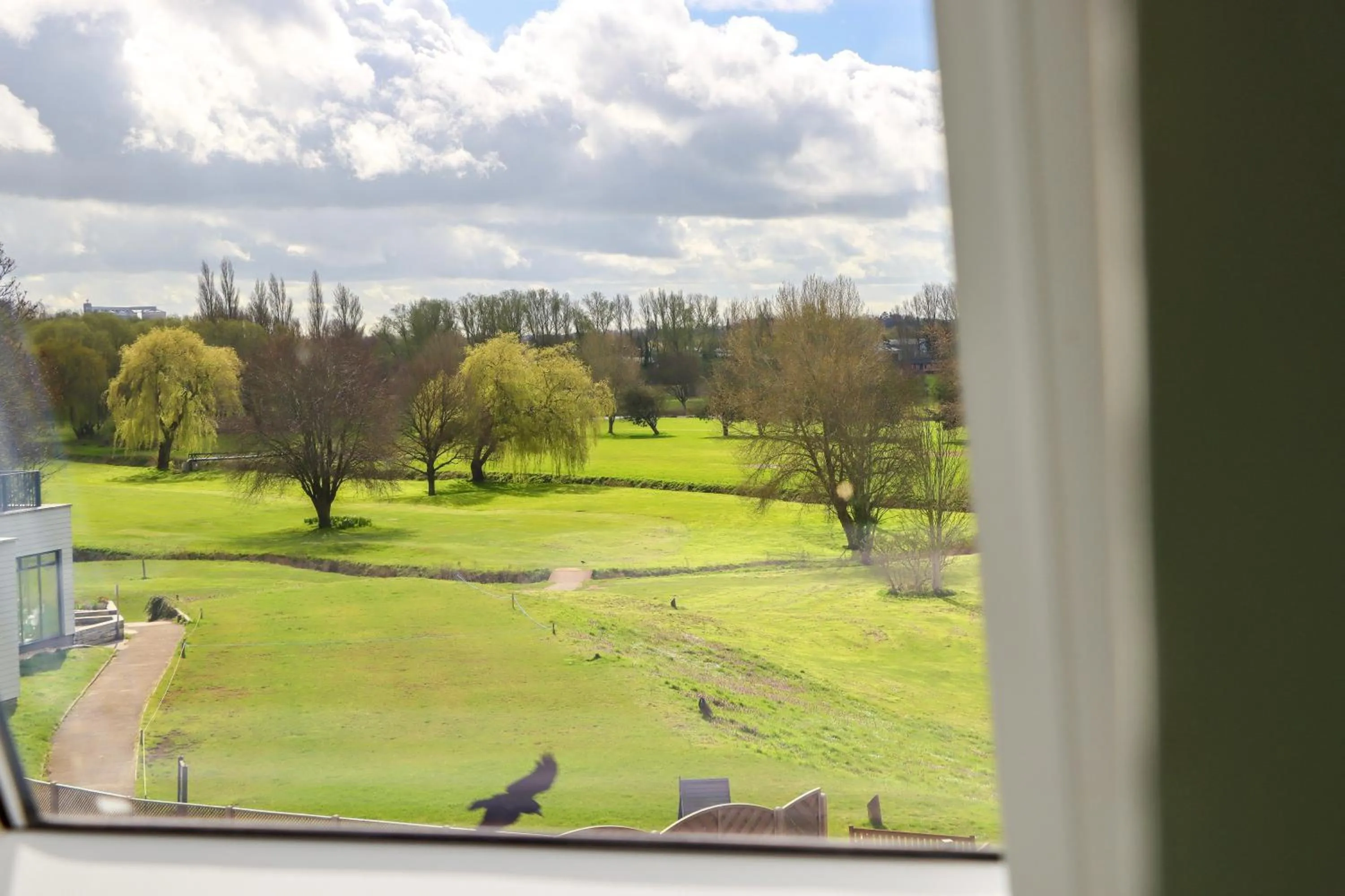 View (from property/room) in All Saints Resort