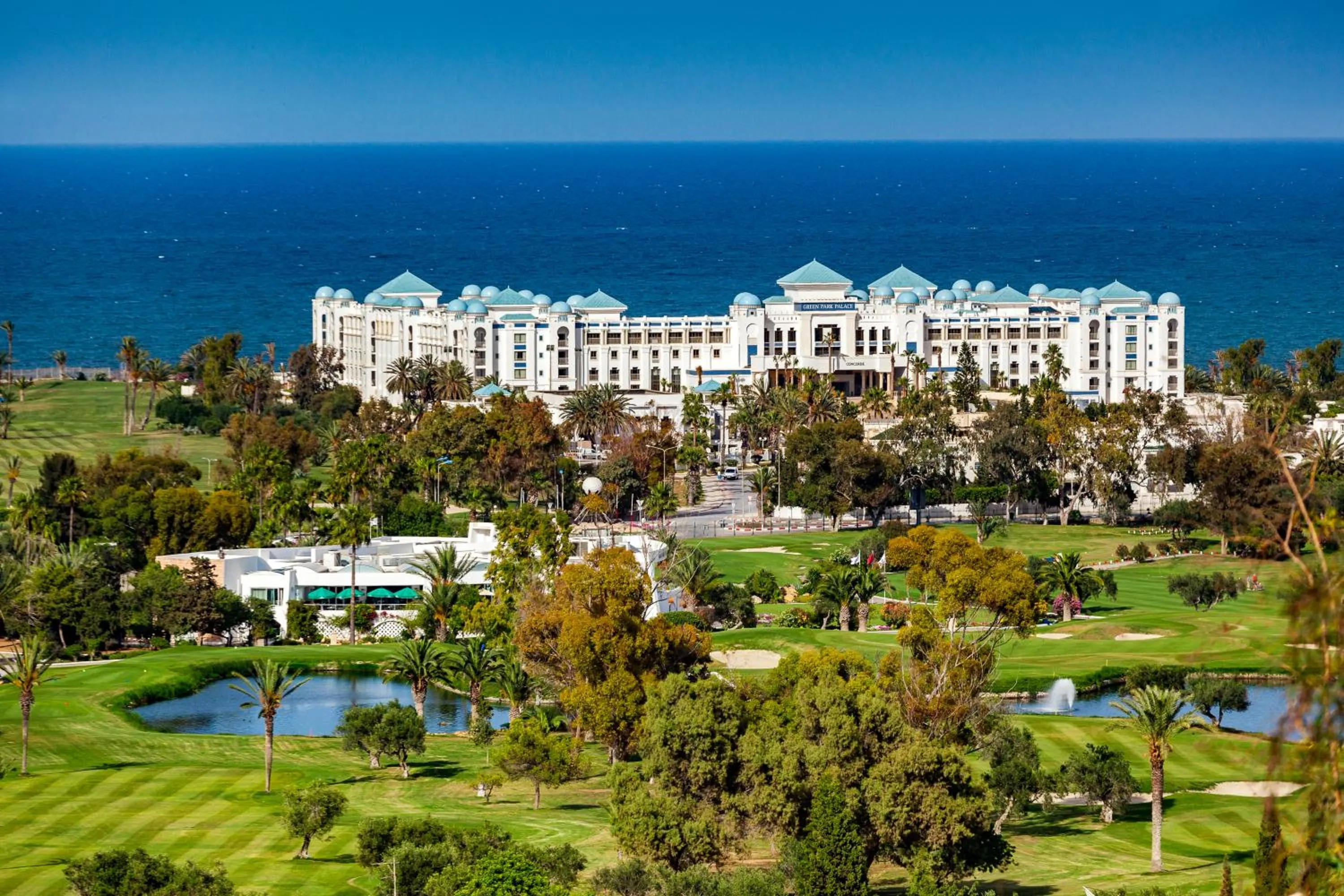 Swimming pool in Concorde Green Park Palace