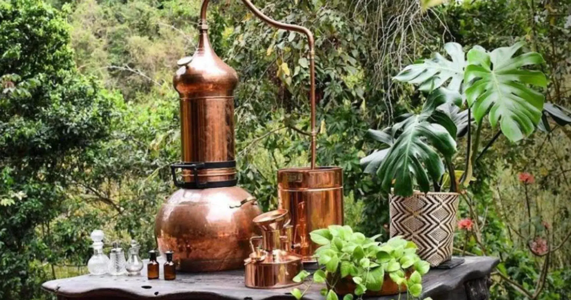 Activities in ONE Santuario Natural Activities in ONE Santuario Natural