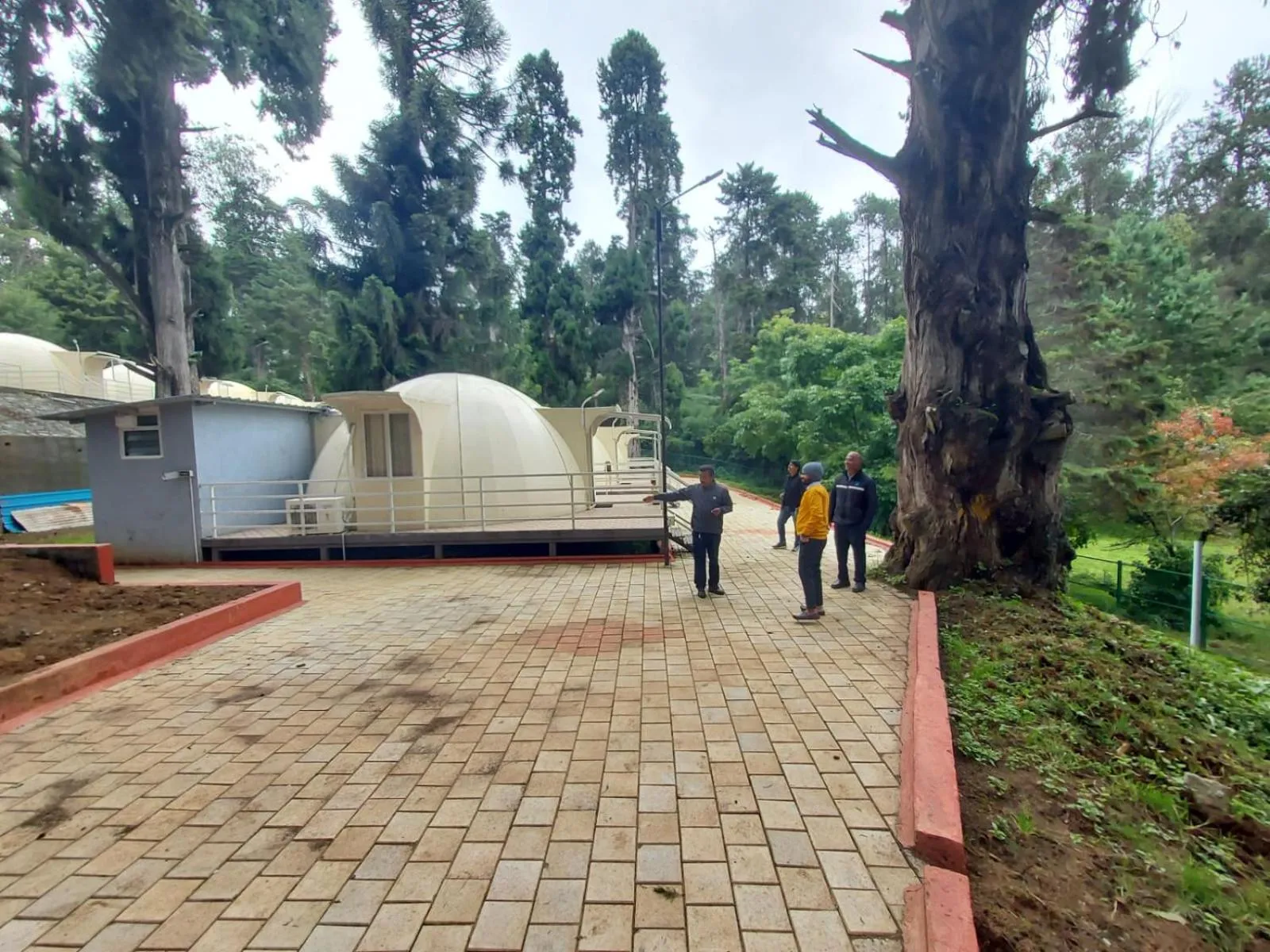 KSTDC Hotel Mayura Sudarshan ,Ooty