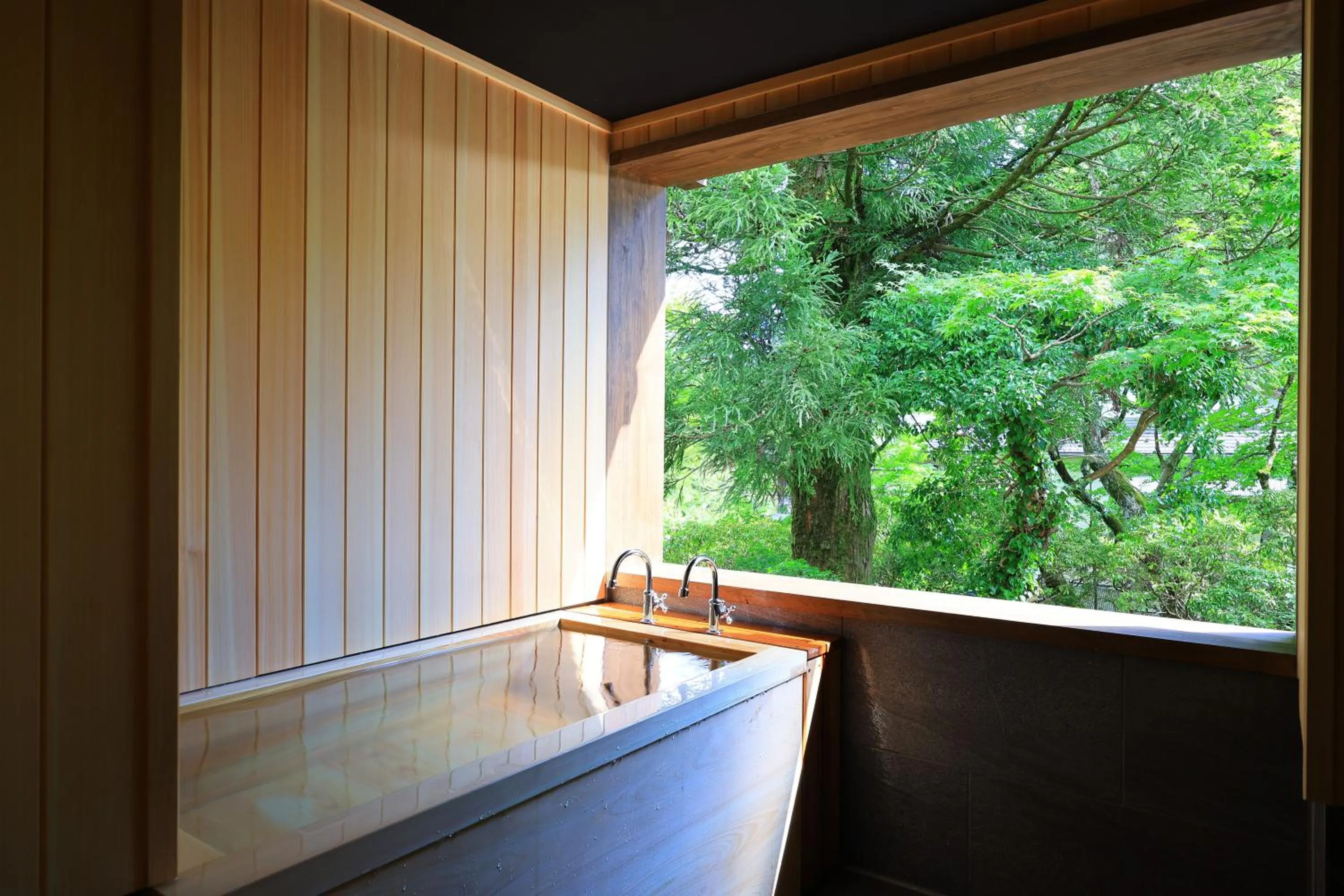 Hot Spring Bath in Matsuzakaya Honten