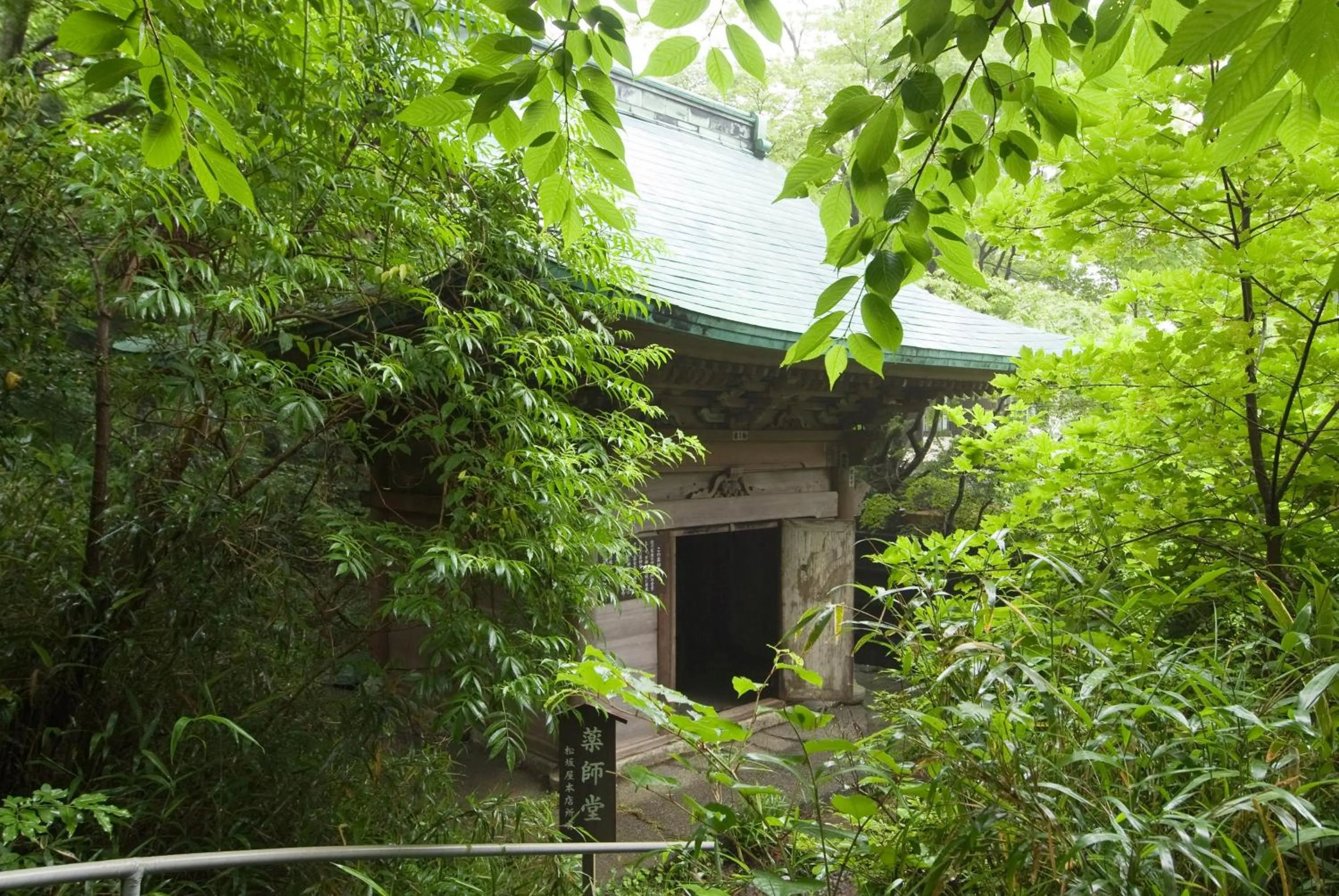 Natural landscape in Matsuzakaya Honten
