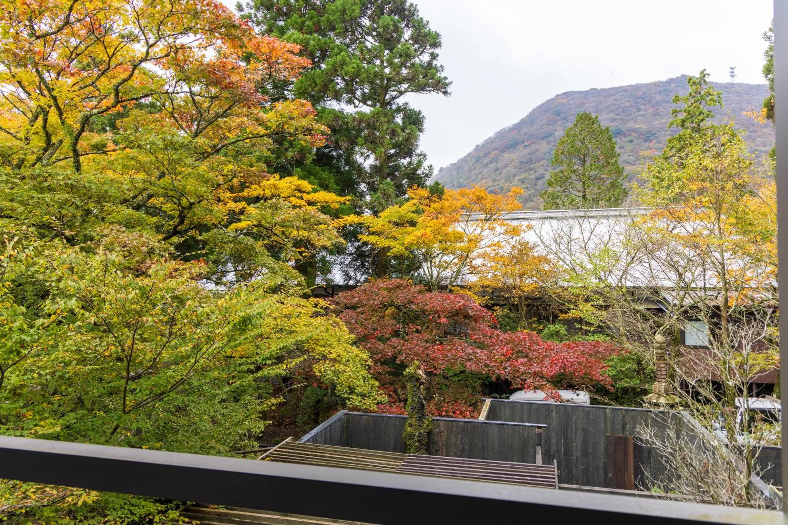 View (from property/room) in Matsuzakaya Honten