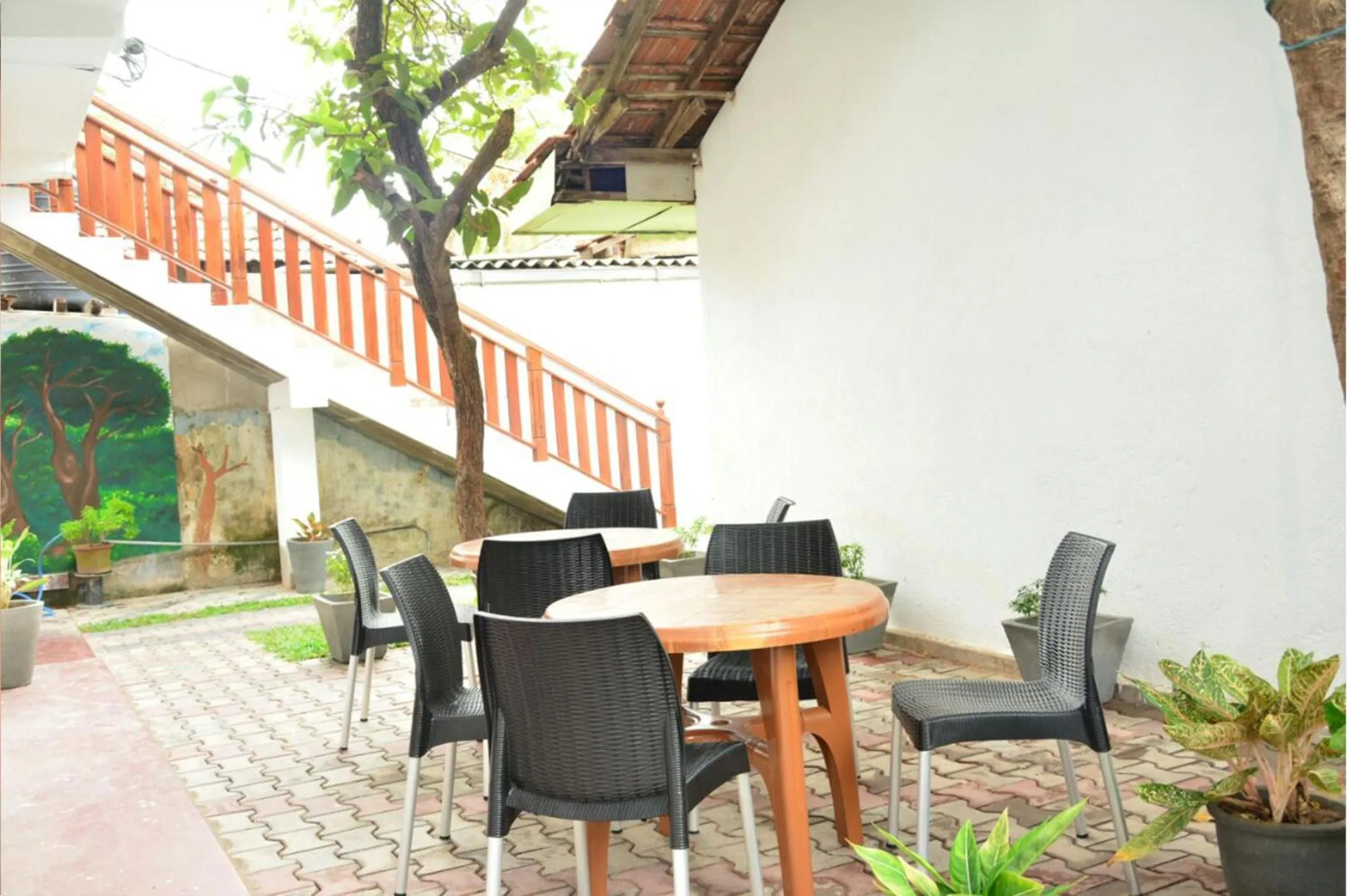 Bed in 8-Bed Mixed Dormitory Room in Tropical Garden
