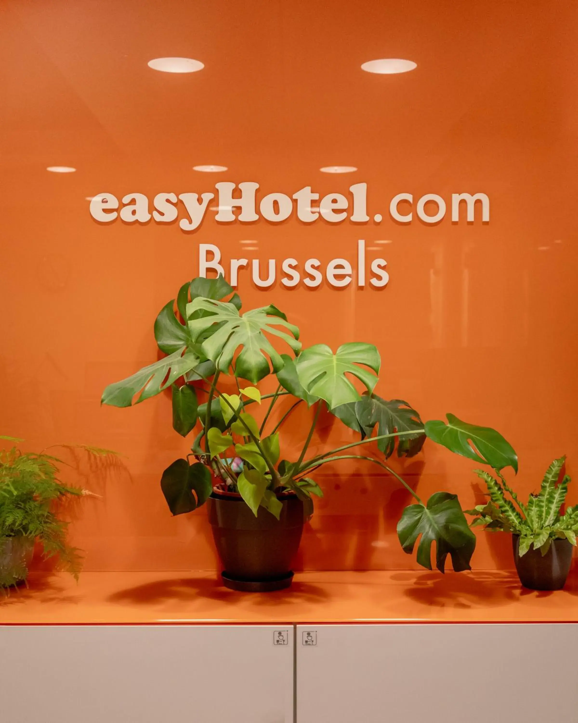 Lobby or reception in easyHotel Brussels City Centre Lobby or reception in easyHotel Brussels City Centre