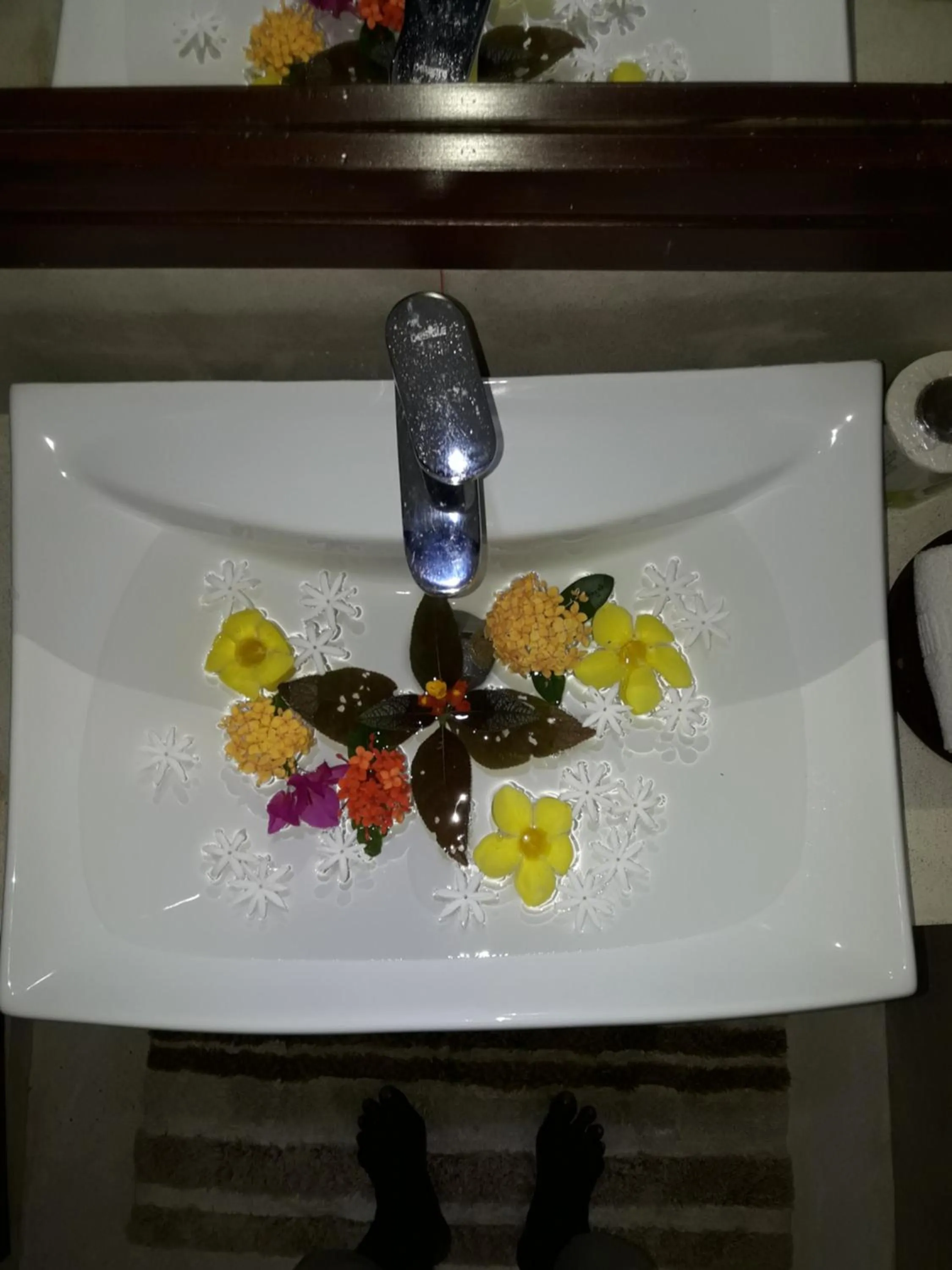 Bathroom in Butterfly Jewel