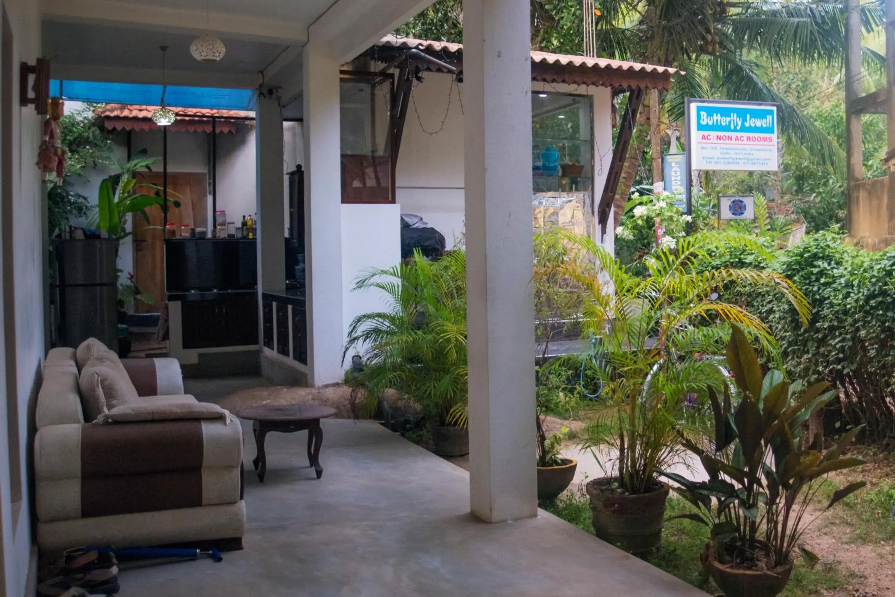 Butterfly Jewel Butterfly Jewel