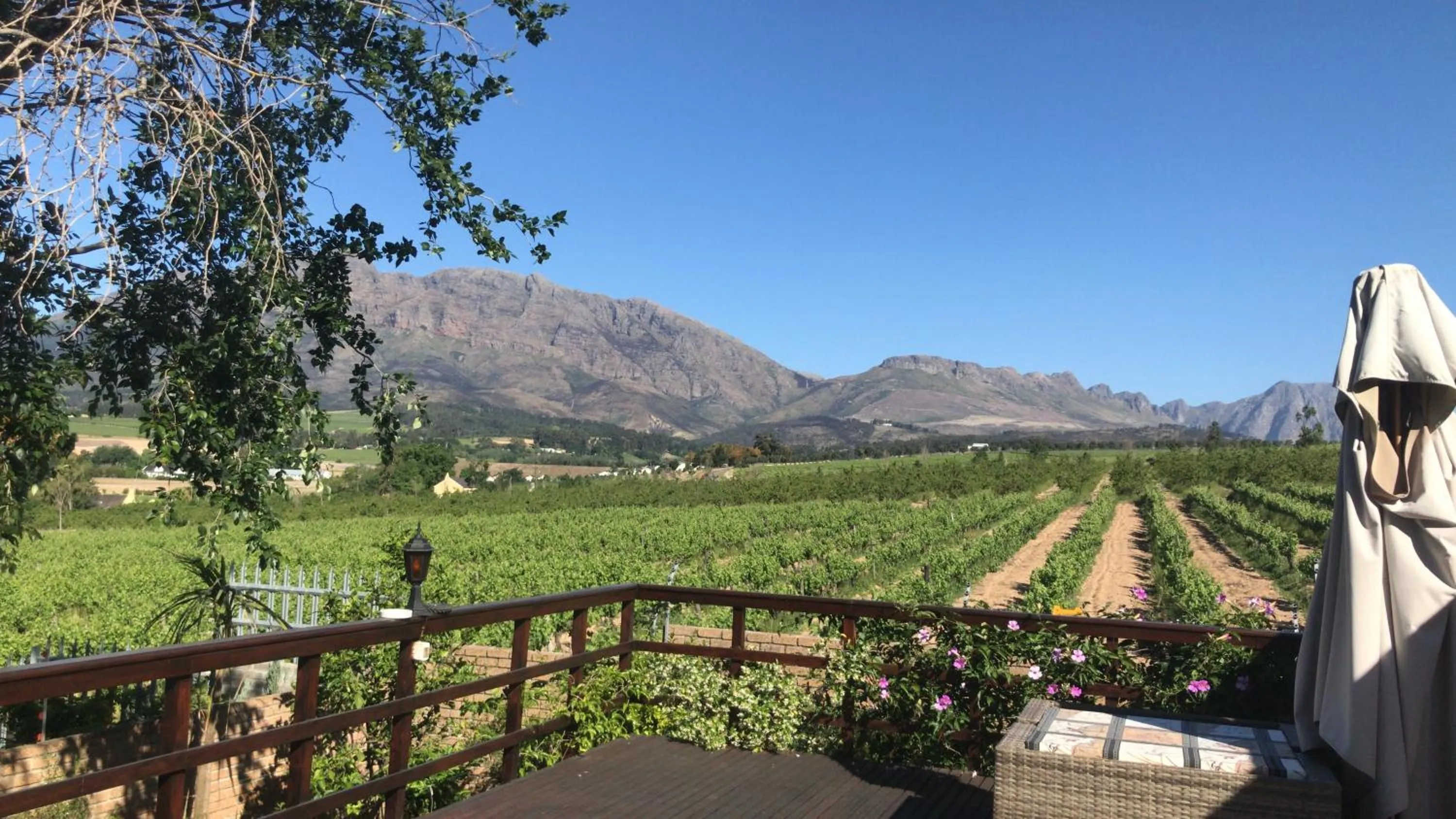 Garden in Wellington Country House