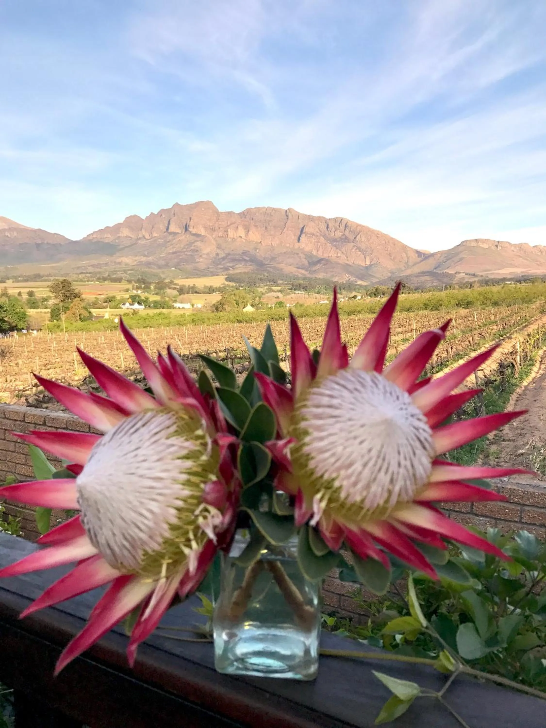 Mountain view in Wellington Country House