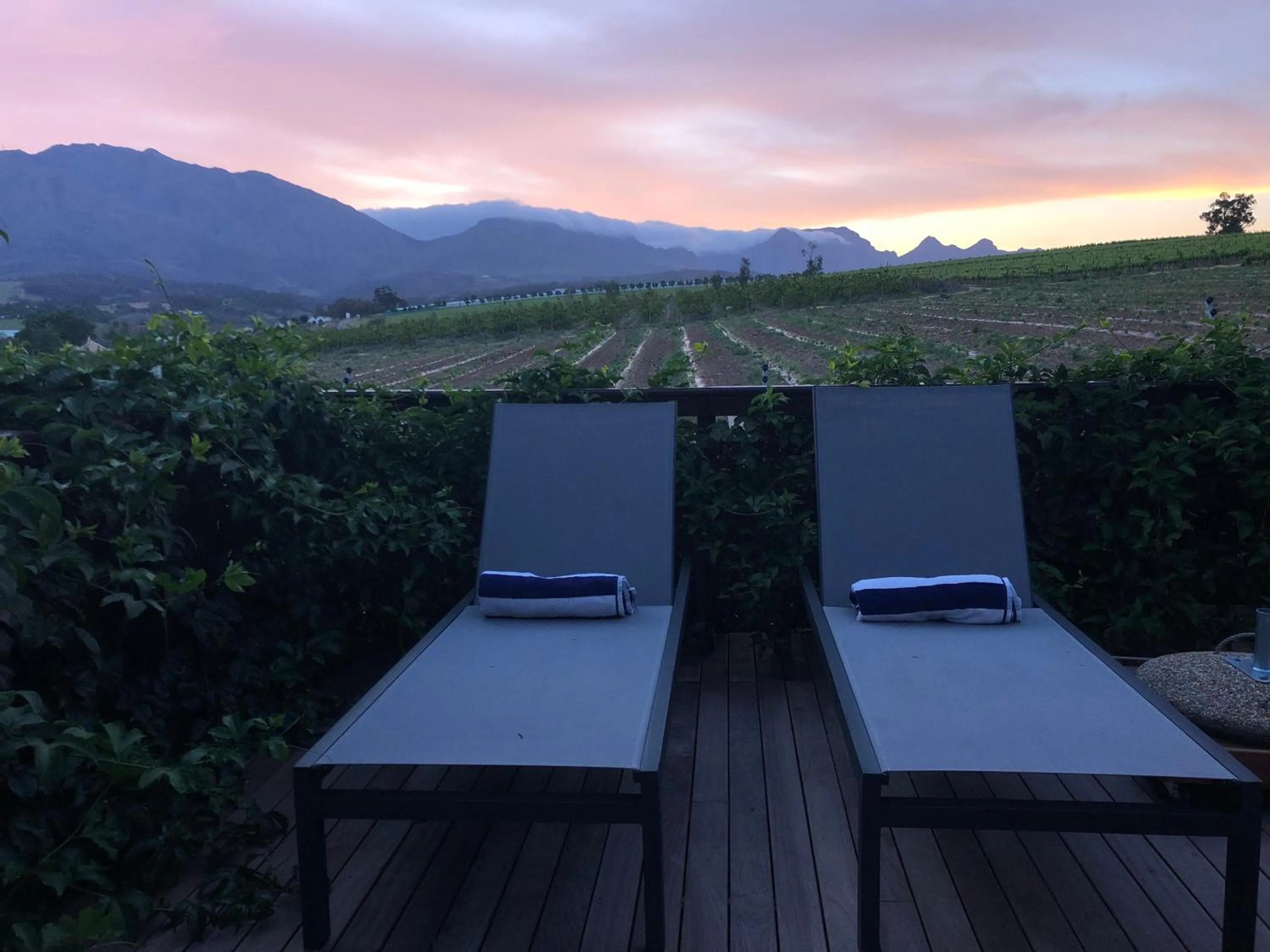 Balcony/Terrace in Wellington Country House