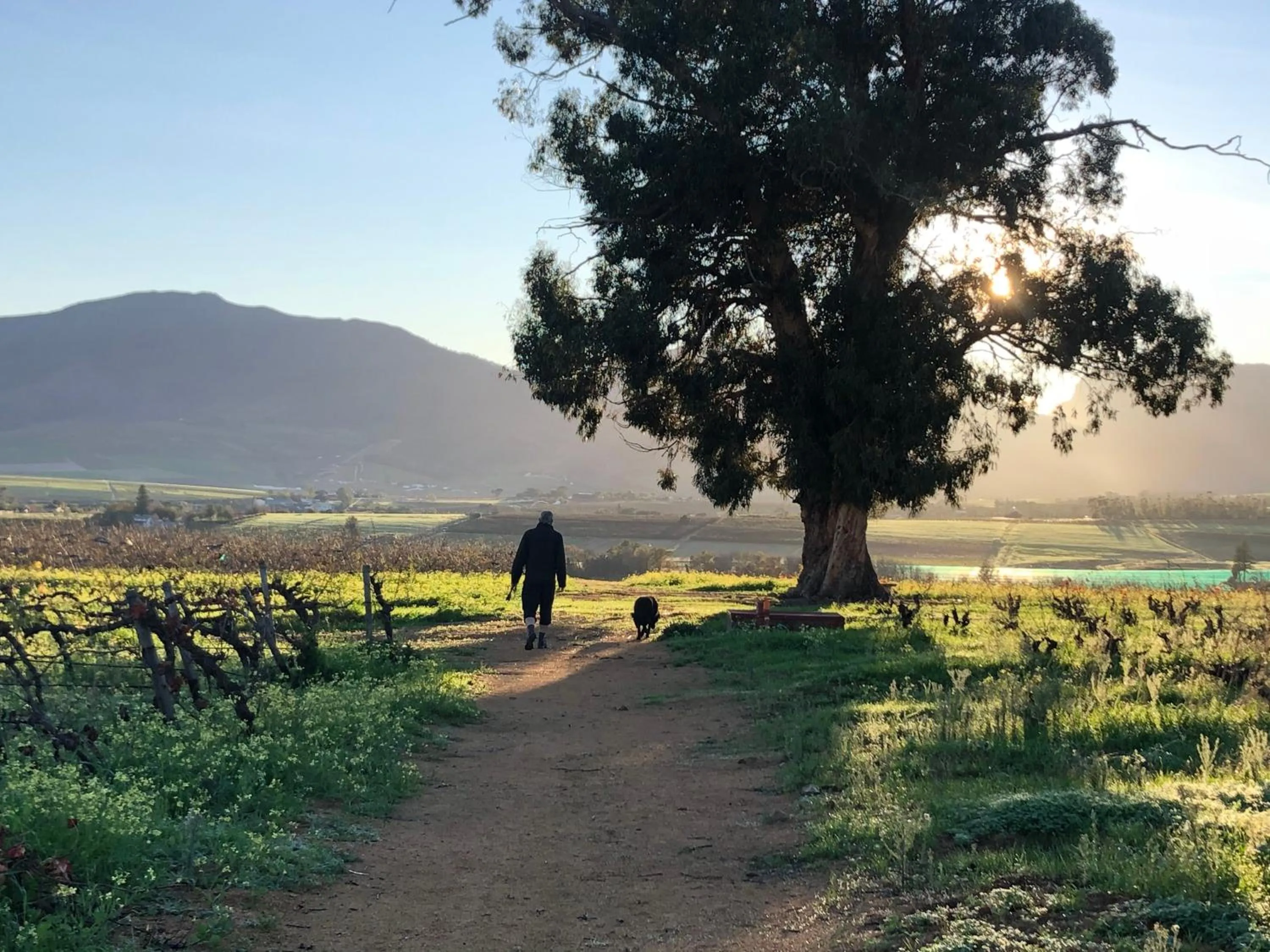 Activities in Wellington Country House