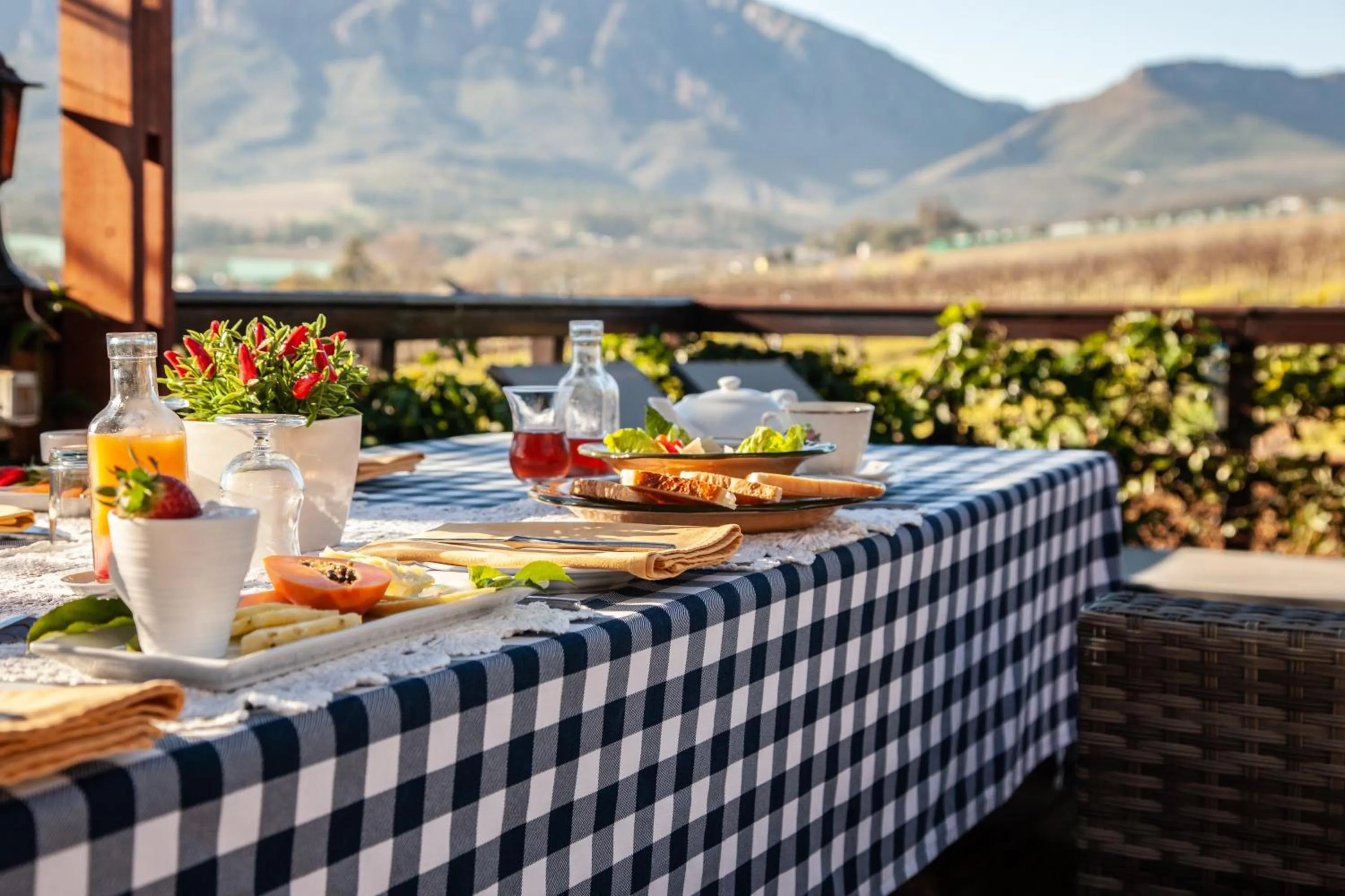 Food and drinks in Wellington Country House