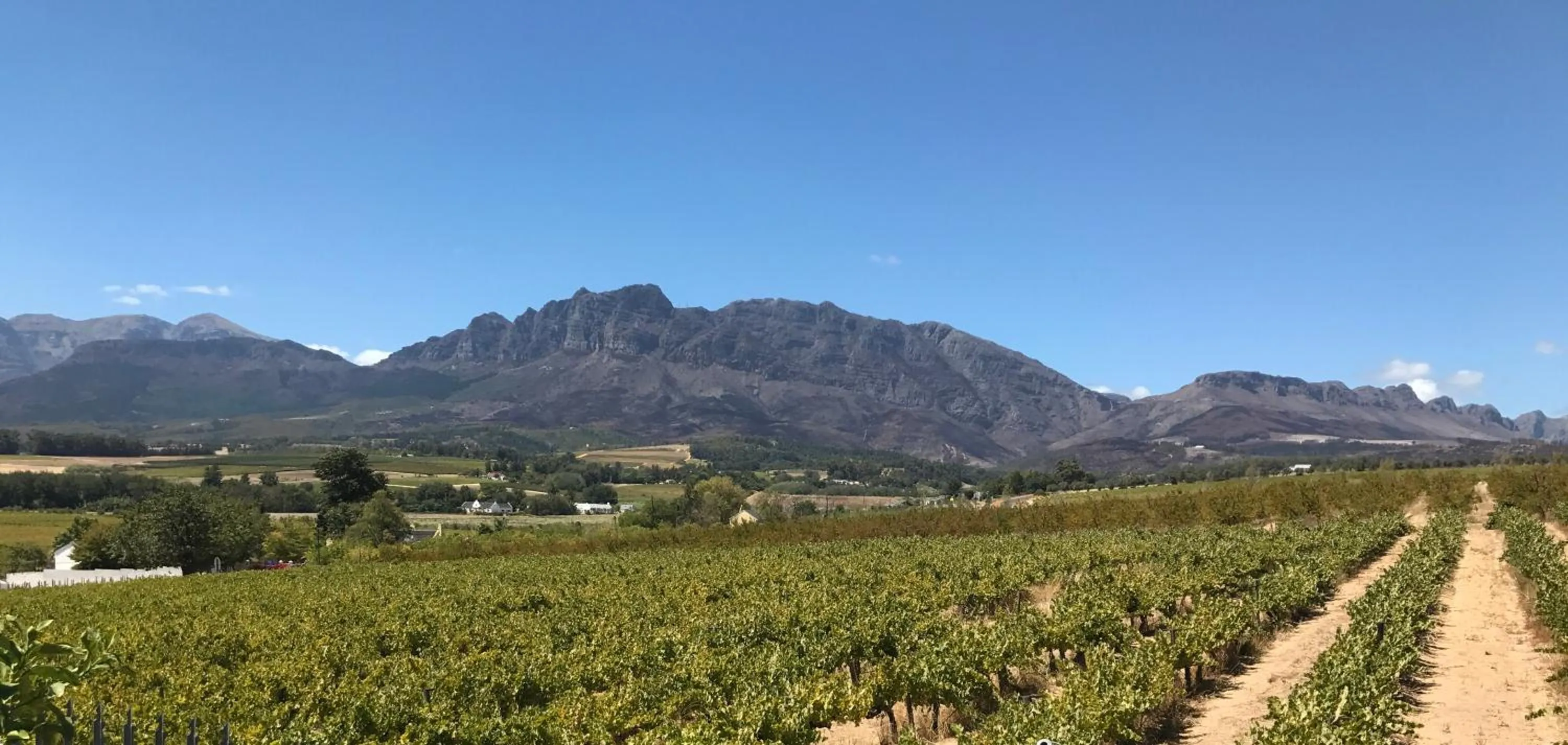 Property logo or sign in Wellington Country House