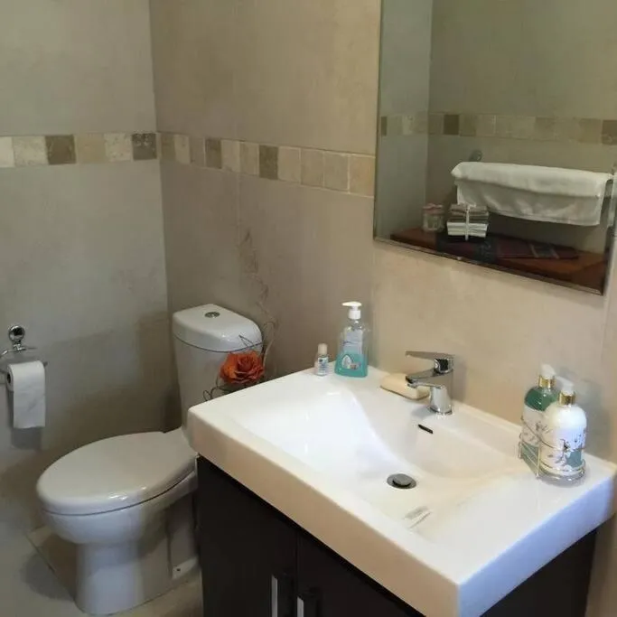 Toilet in Wellington Country House