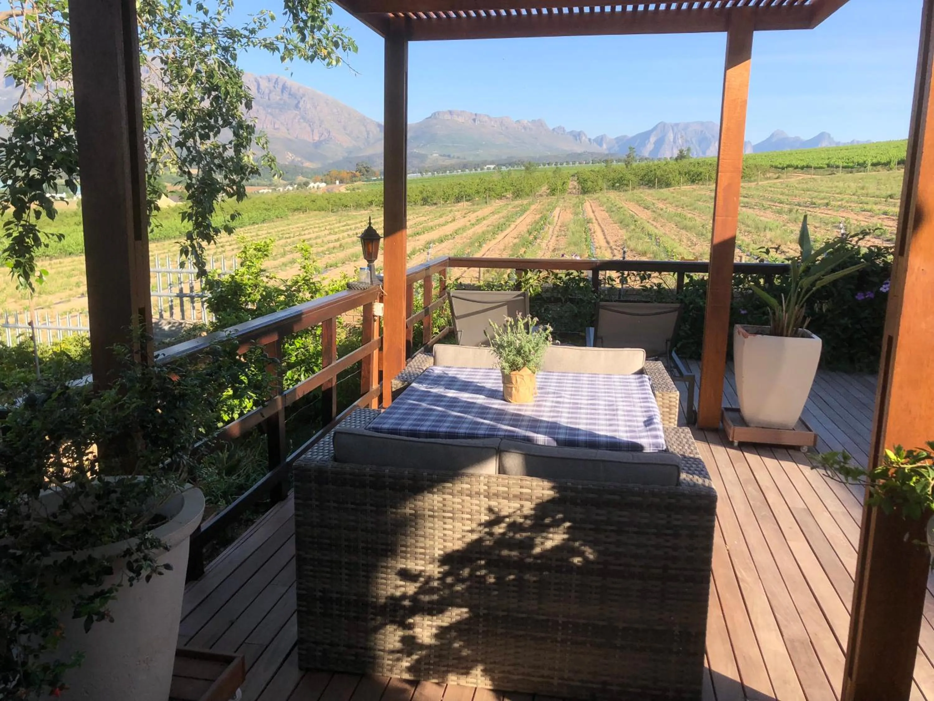 Garden in Wellington Country House