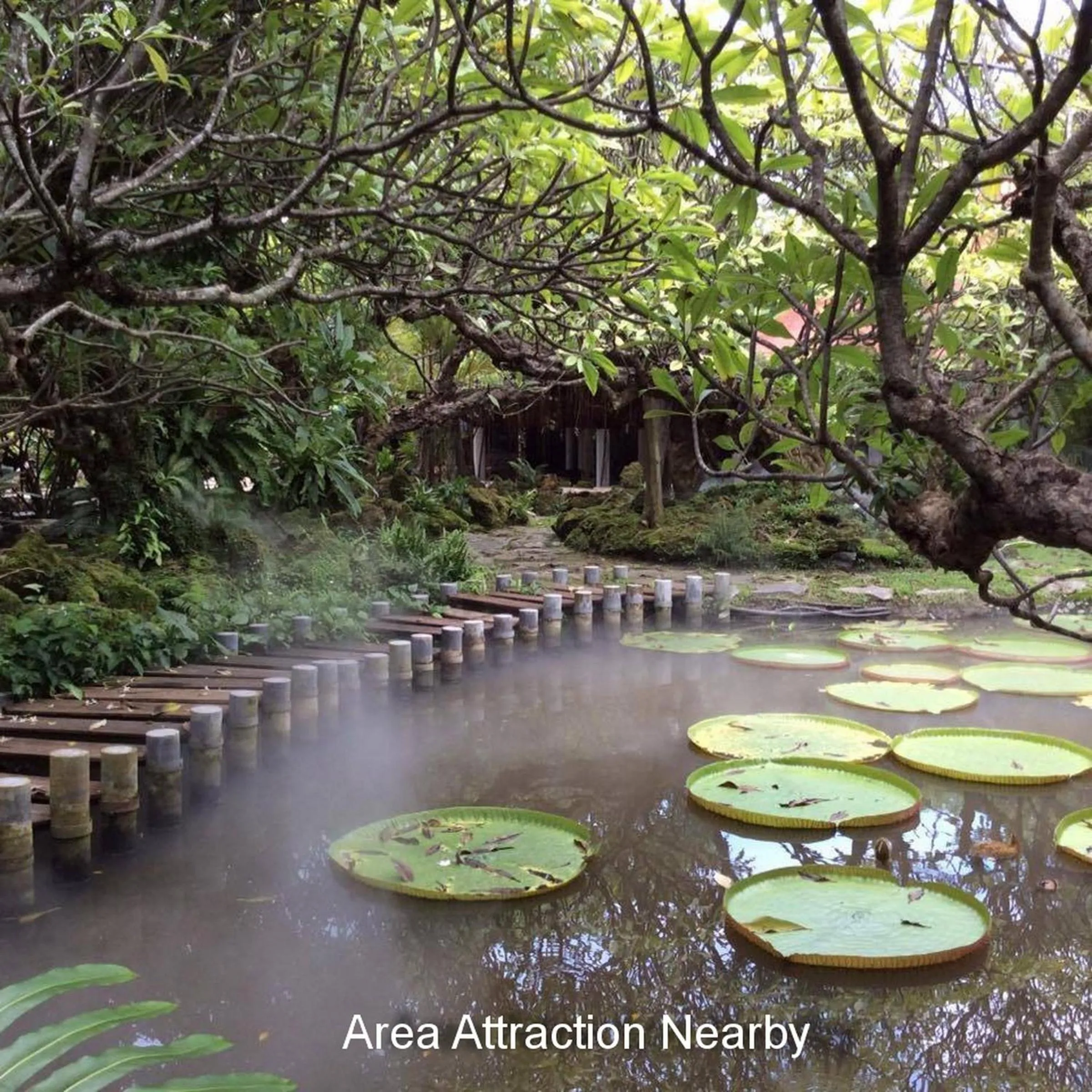 Nearby landmark in Naturbliss Resort Village