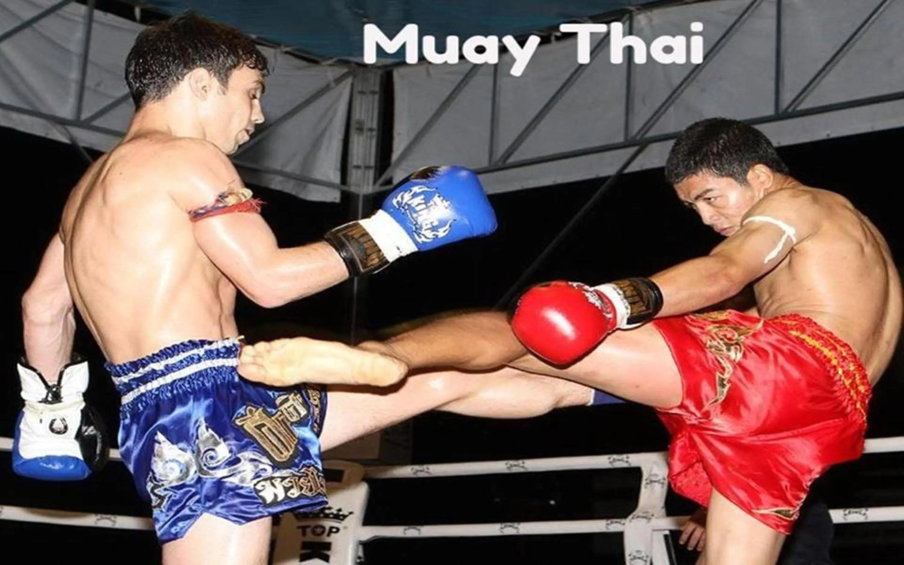 Nearby landmark in Naturbliss Resort Village