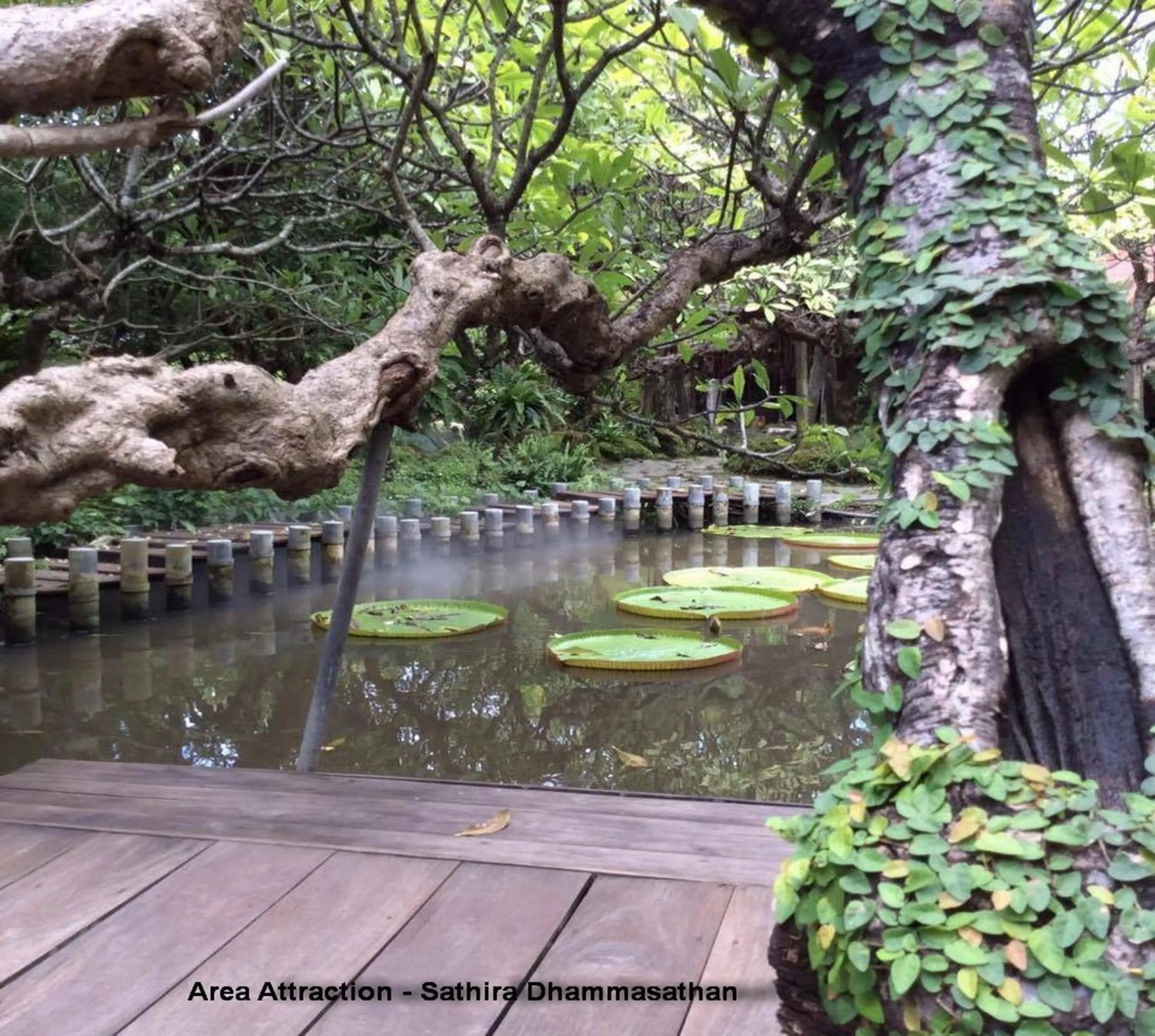 Nearby landmark in Naturbliss Resort Village