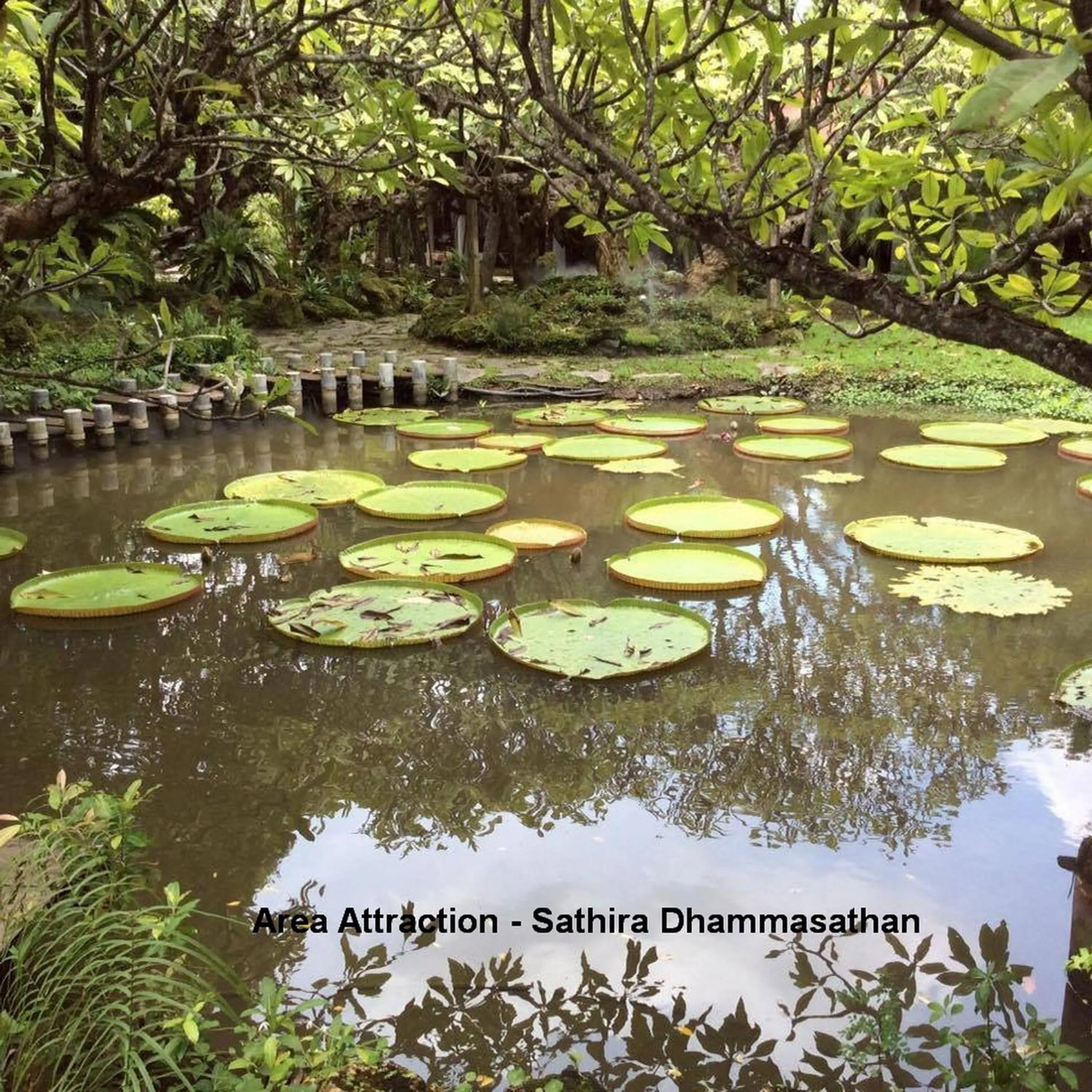 Nearby landmark in Naturbliss Resort Village