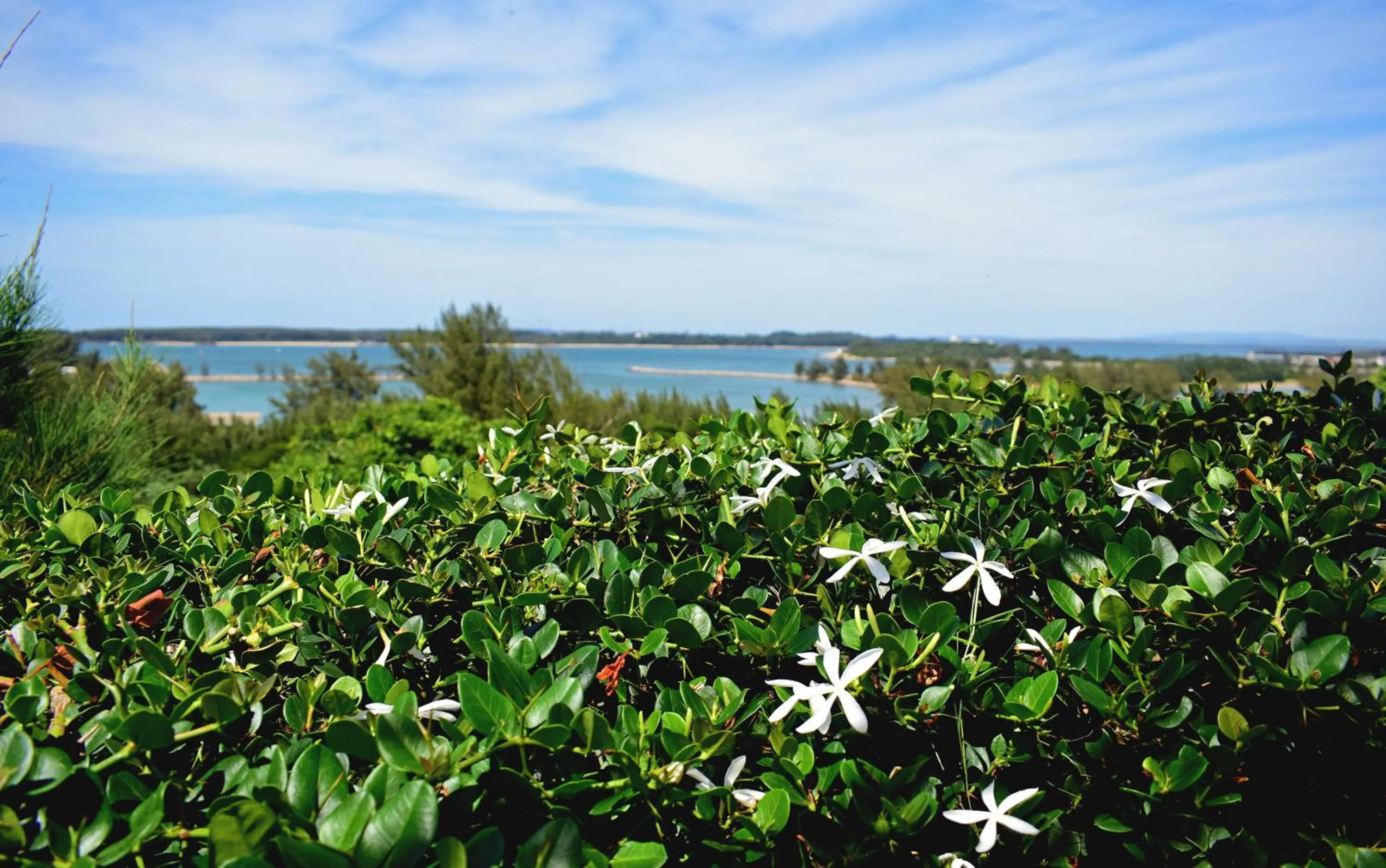 Spring in The Ridge Guesthouse