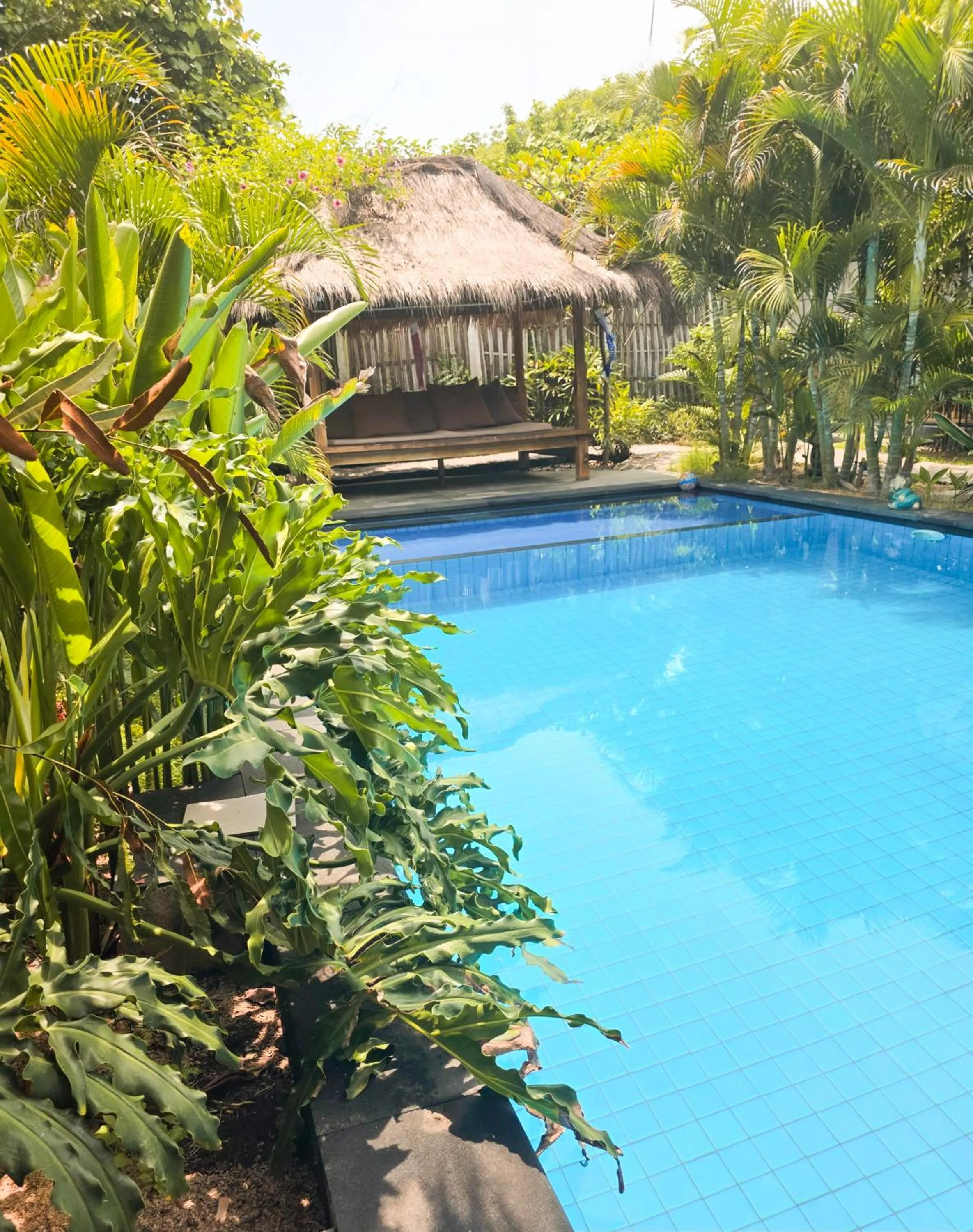 Garden in Gili Matiki
