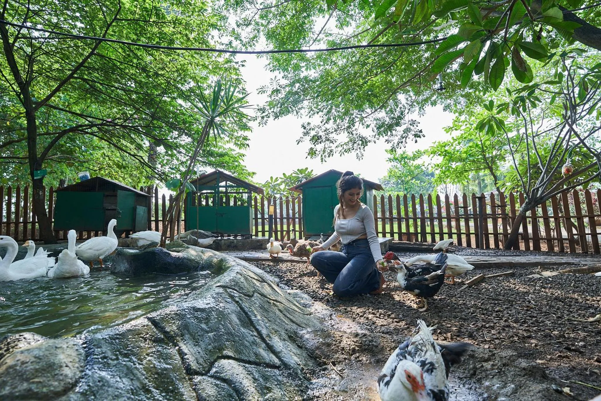 Pets in Grape County Eco Resort & Spa, Nashik