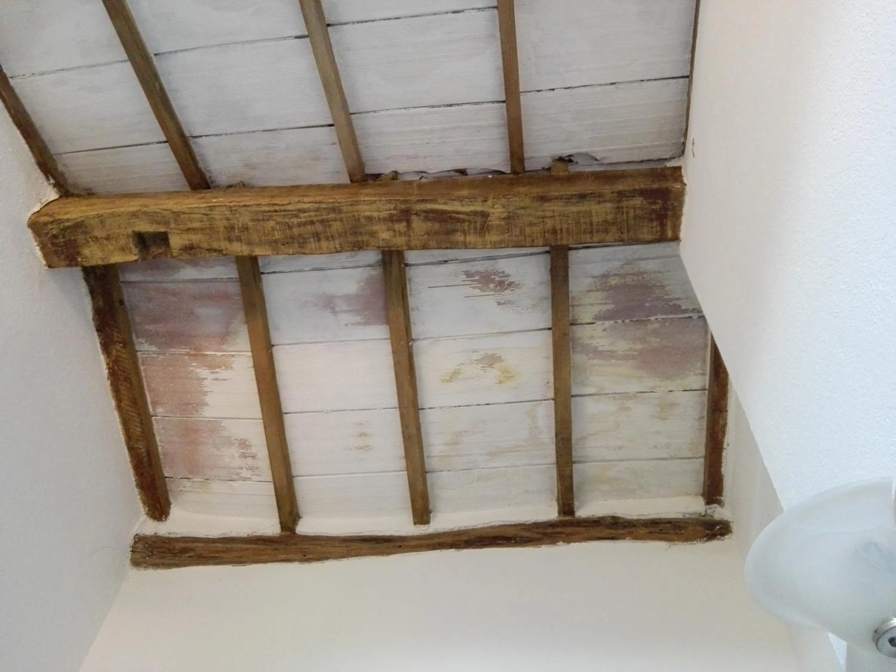 Decorative detail in B&B Oasi Tepilora