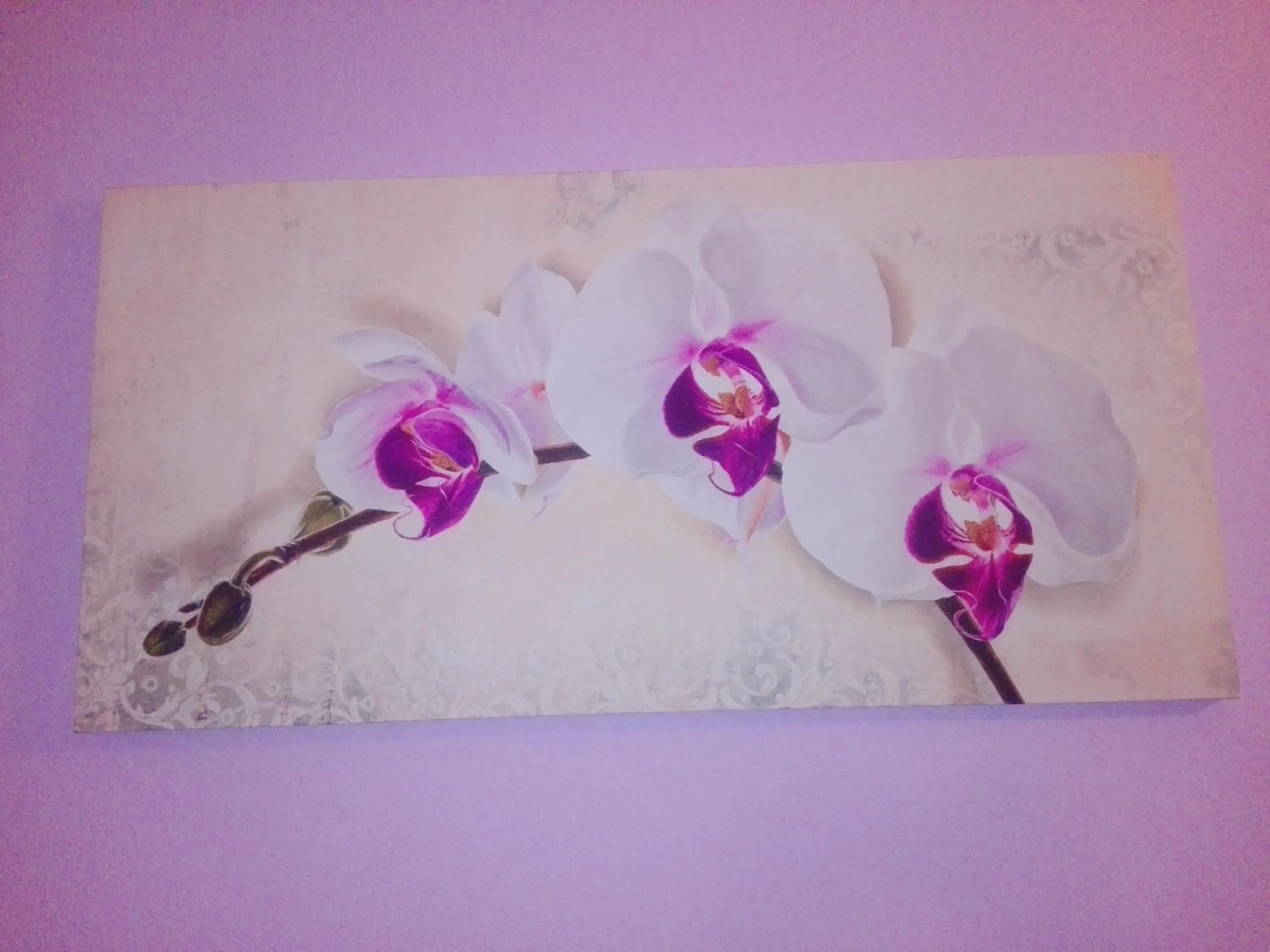 Decorative detail in B&B Oasi Tepilora