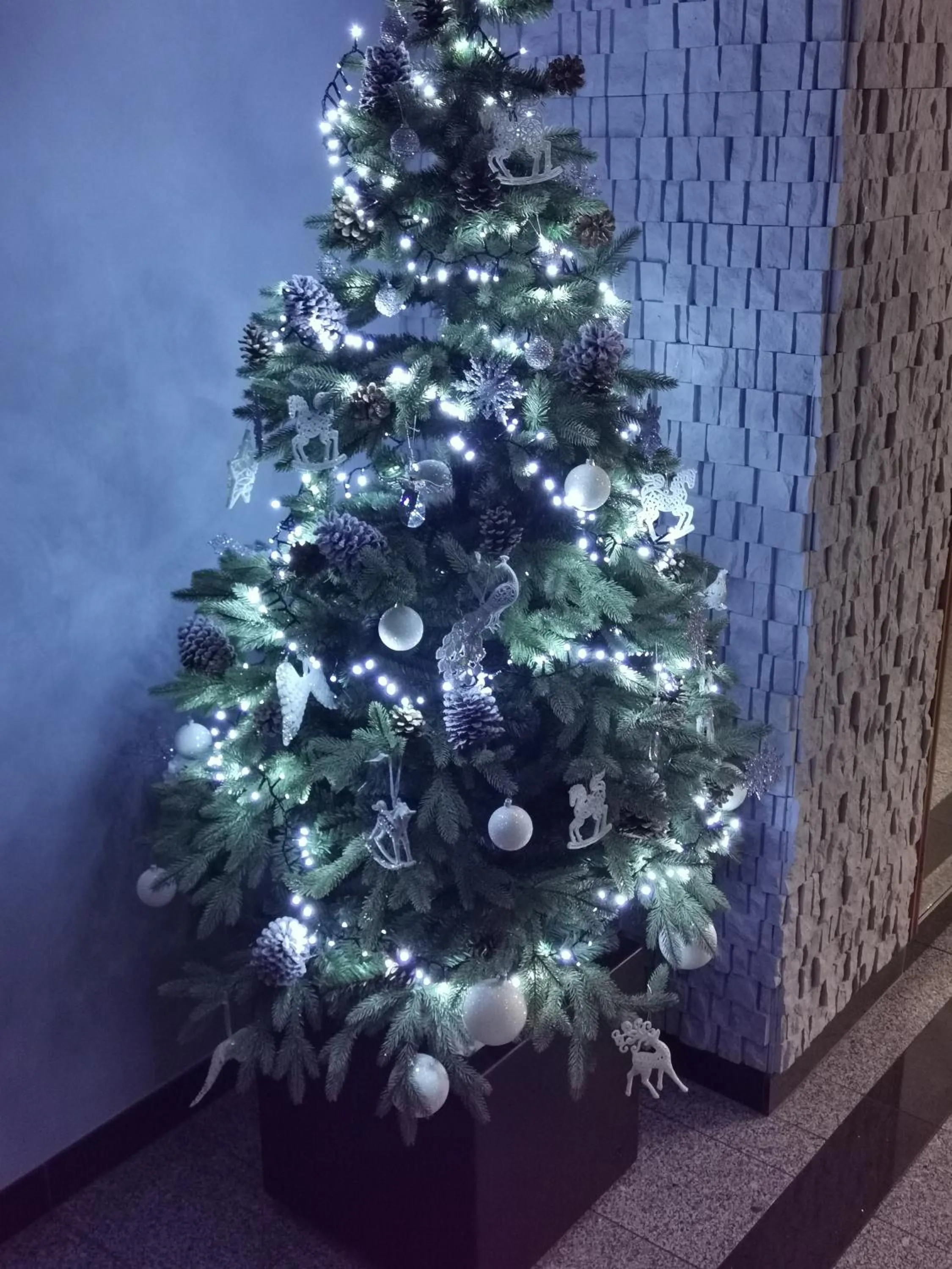 Lobby or reception in Dom Wczasowy Na Szczycie