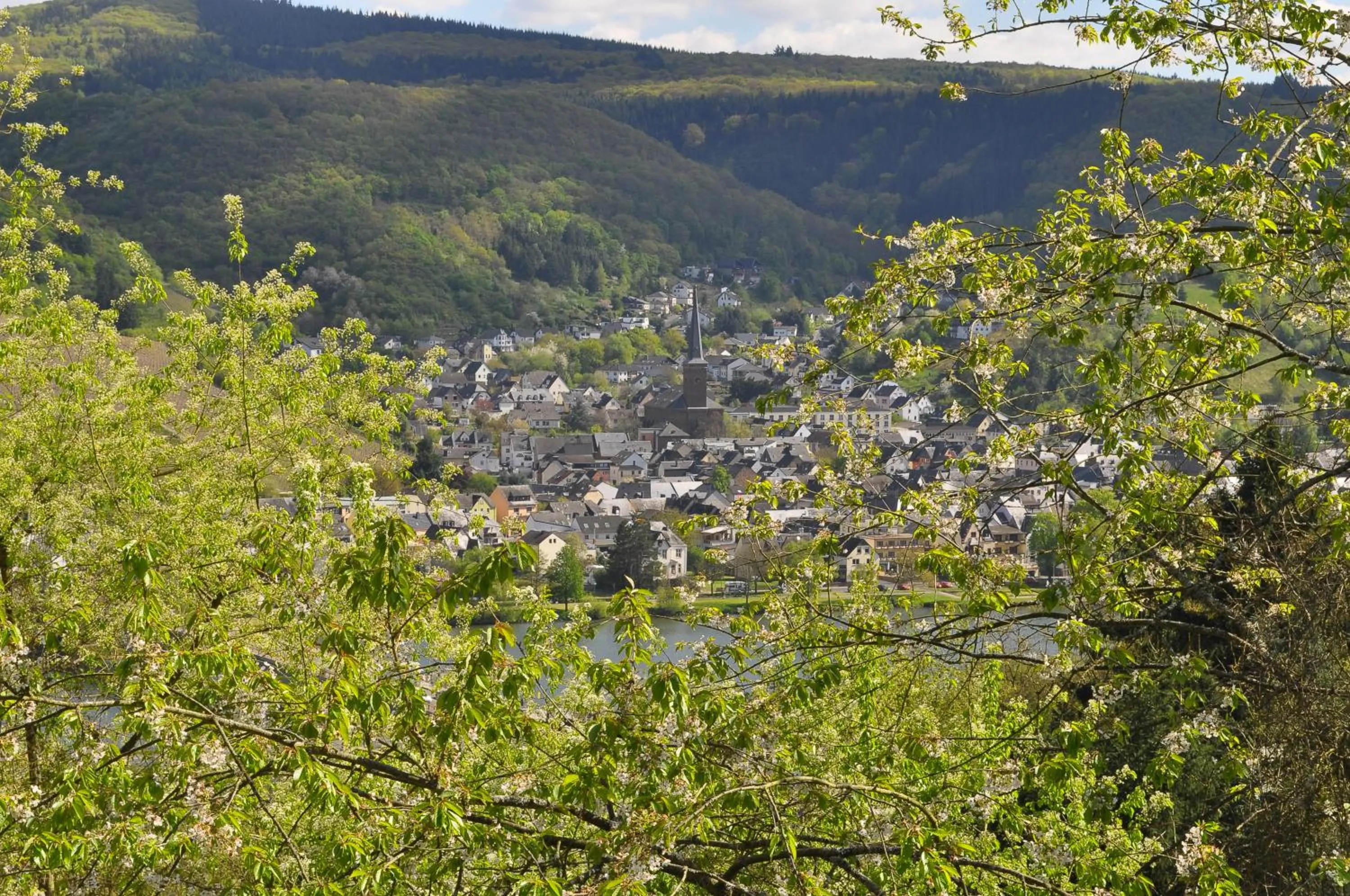 Ferienwohnung Weins