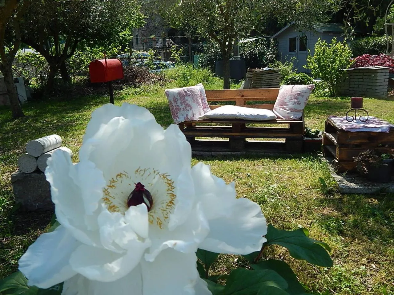 Garden in B&B Piè del Castello
