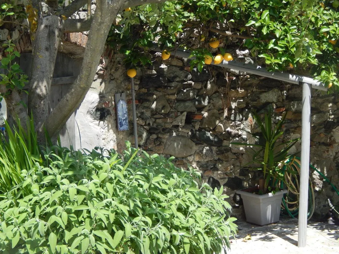 Garden in B&B Piè del Castello