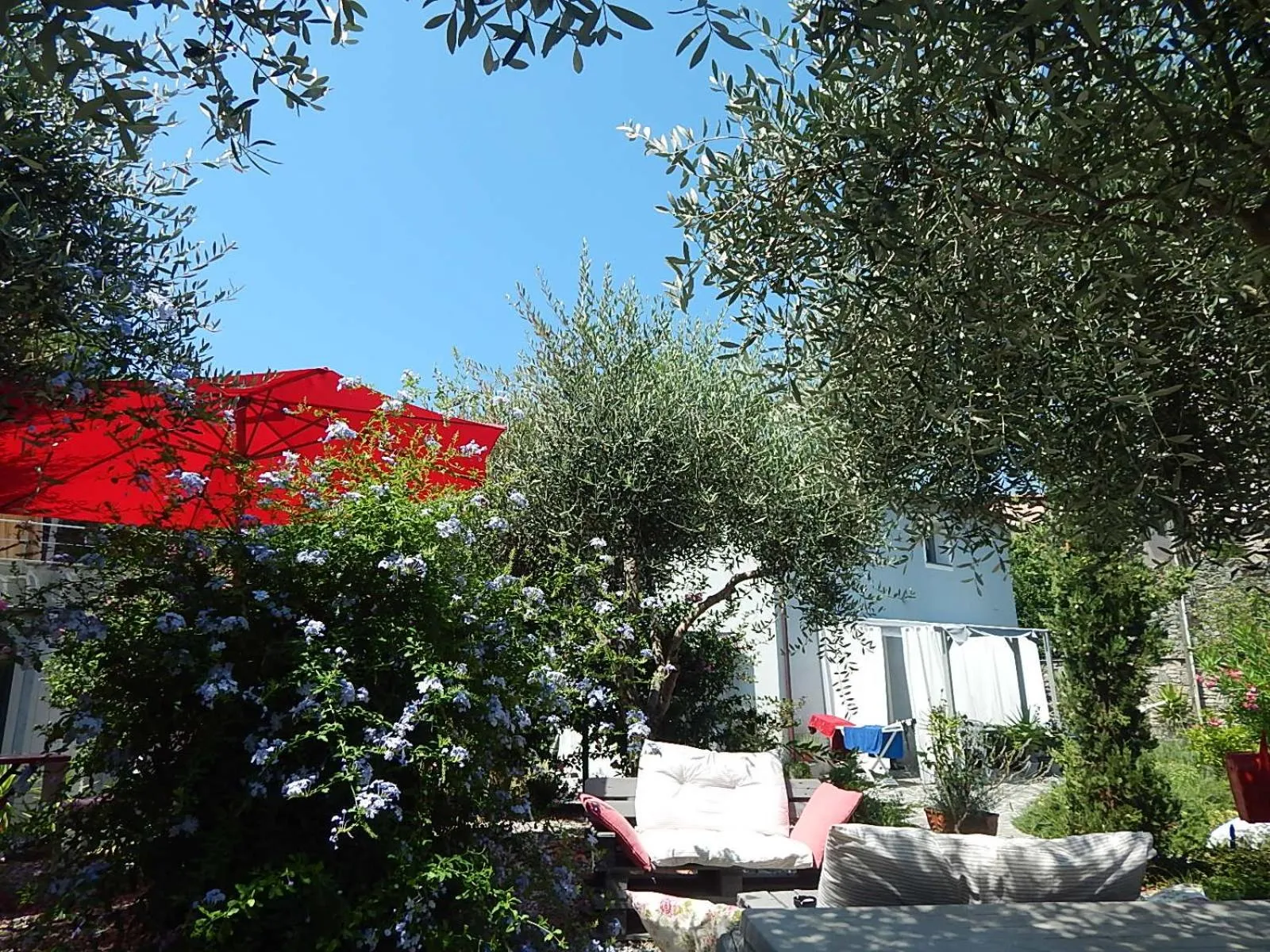 Garden in B&B Piè del Castello