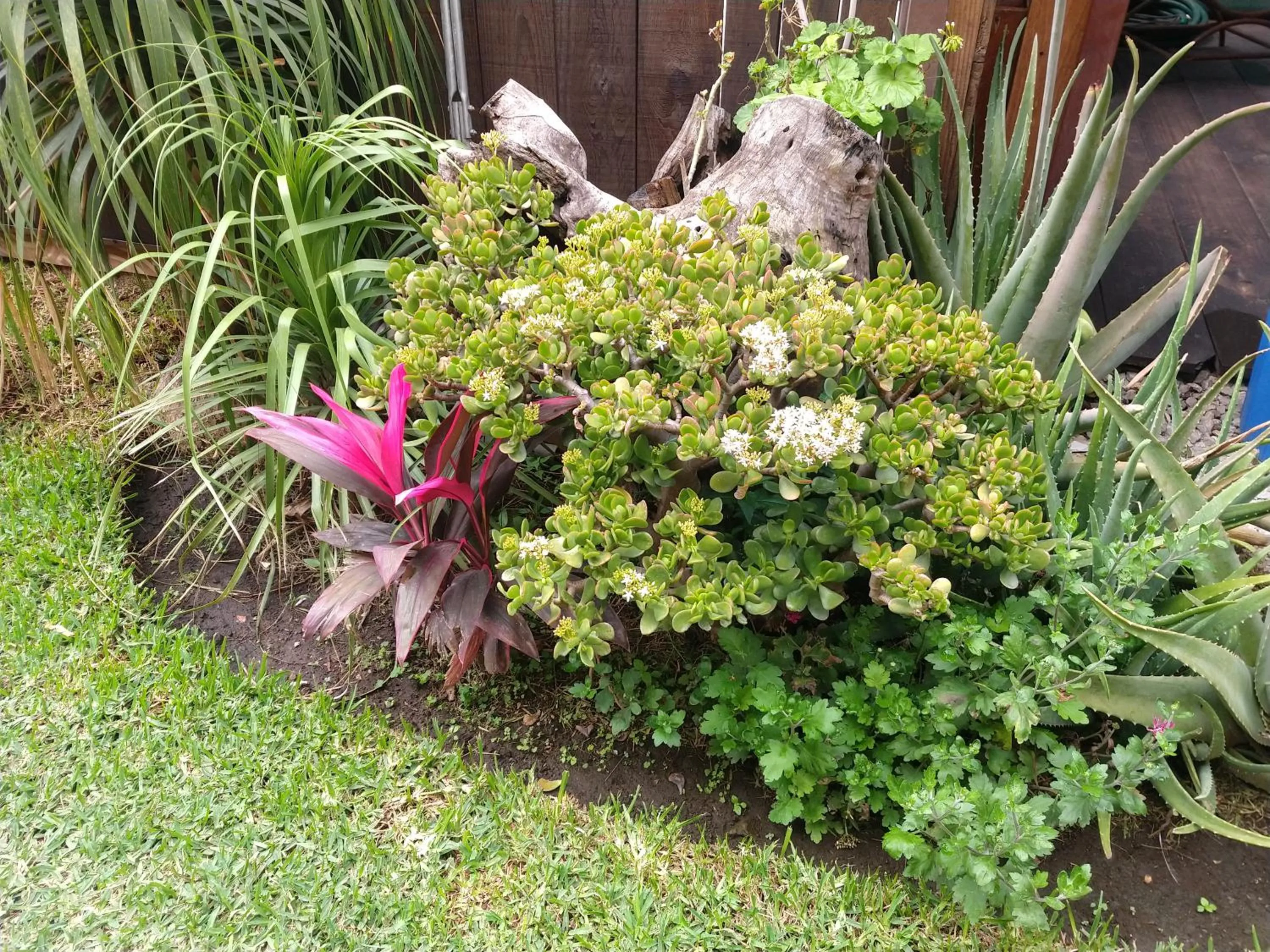 Hospedaje San Antonio Tepoztlán.