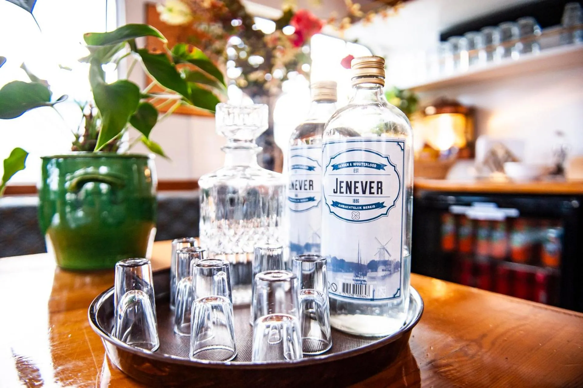 Lounge or bar in The Cabin @ MPS Noorderzon