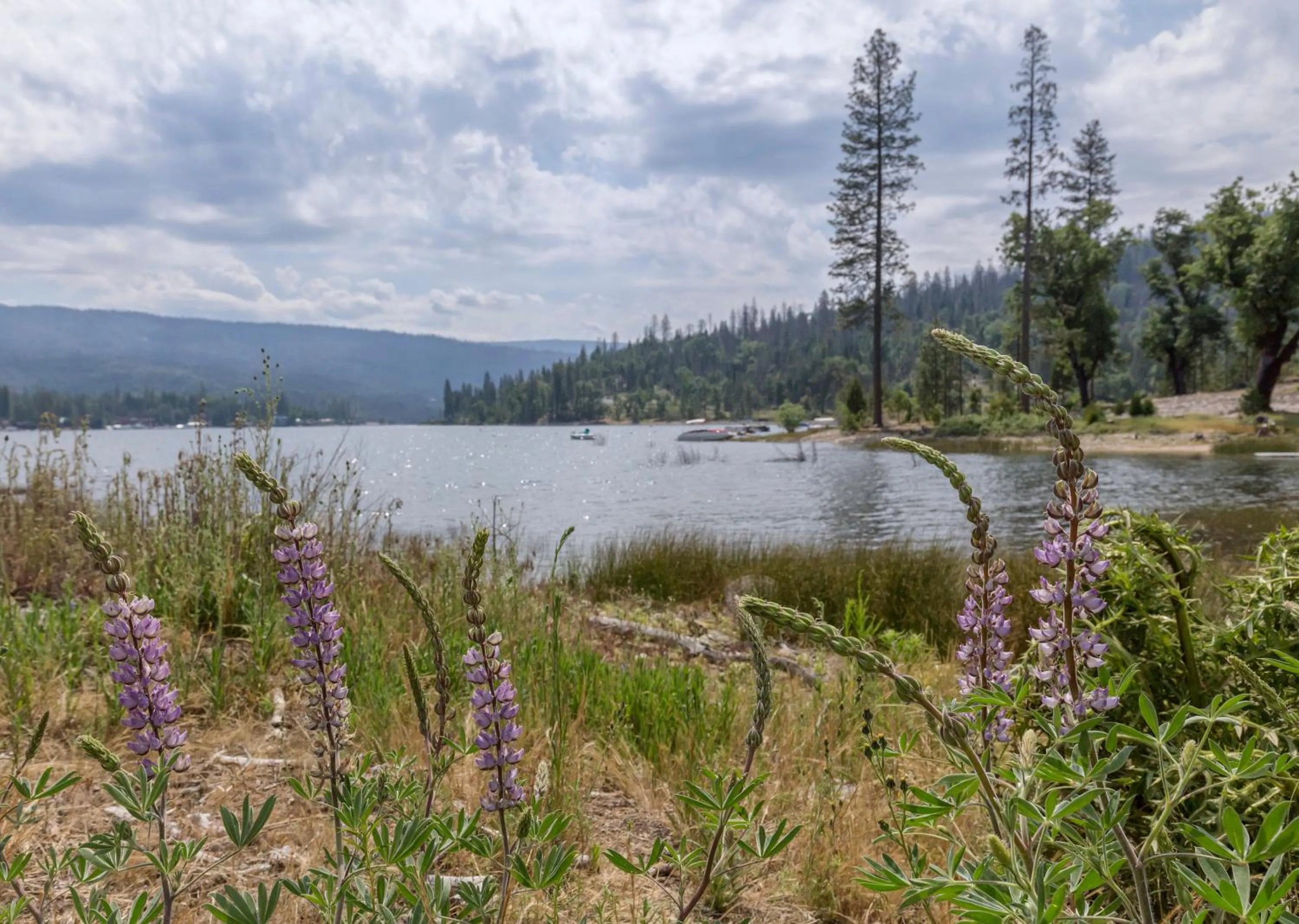 Lake view in WorldMark Bass Lake