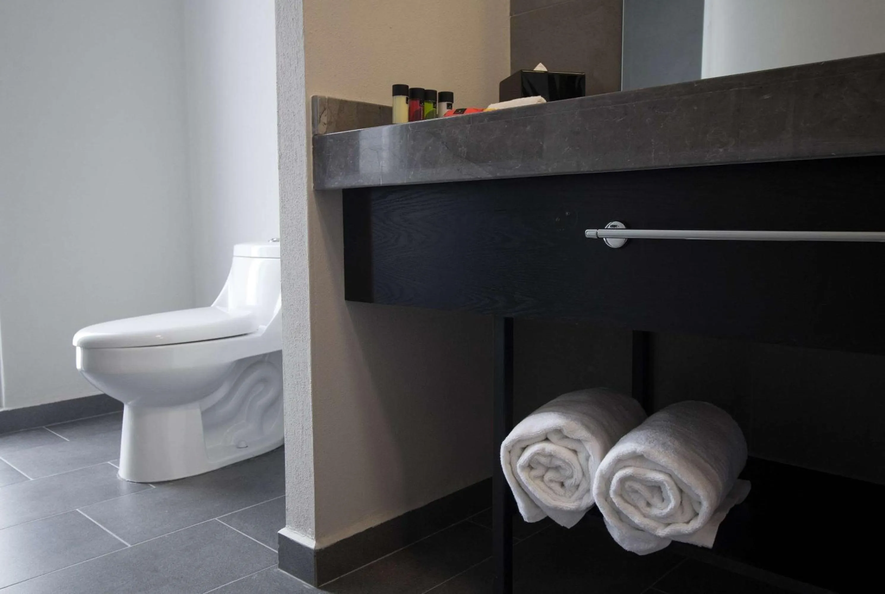 Photo of the whole room in TRYP by Wyndham San Luis Potosi Hotel & Suites