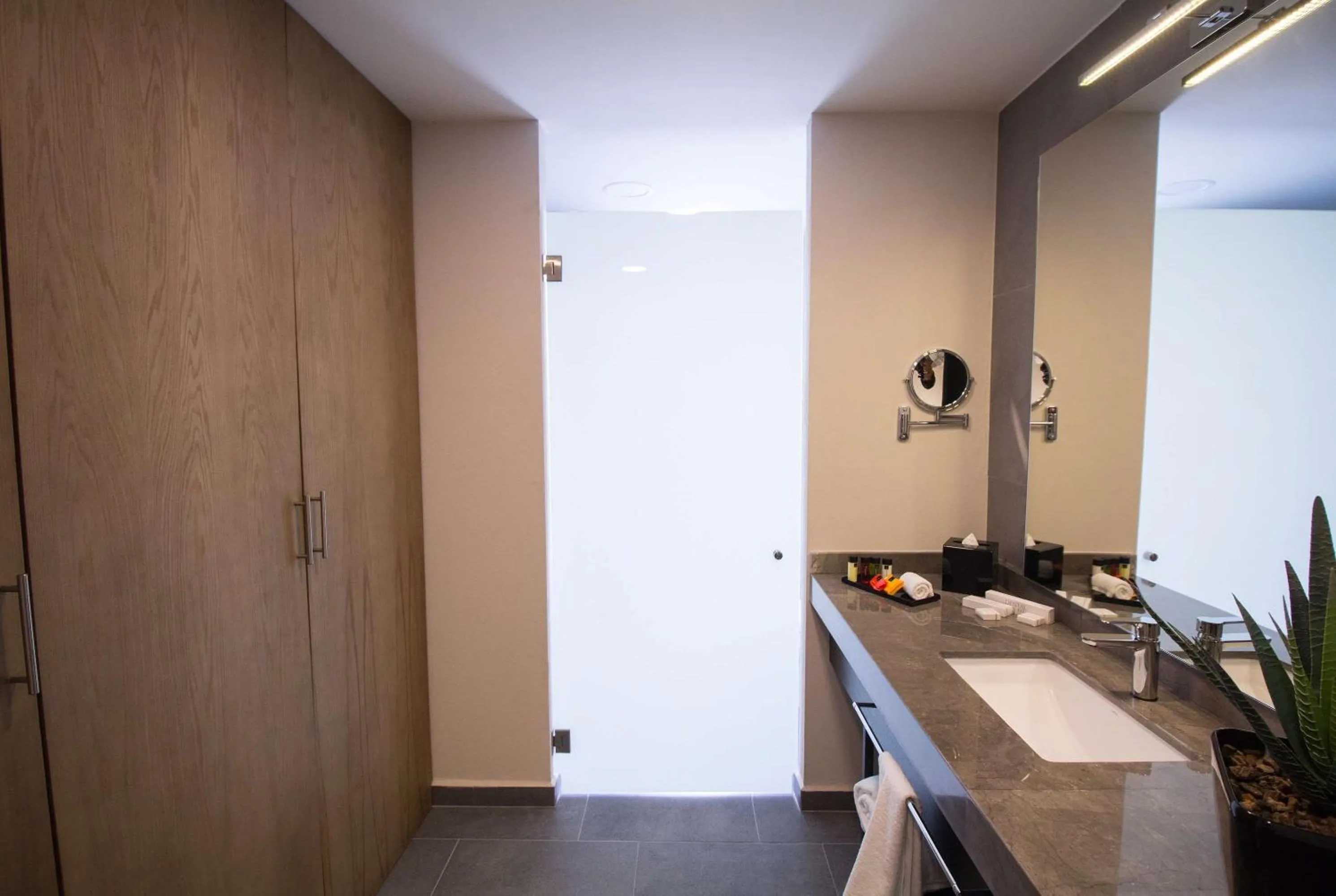 Photo of the whole room in TRYP by Wyndham San Luis Potosi Hotel & Suites