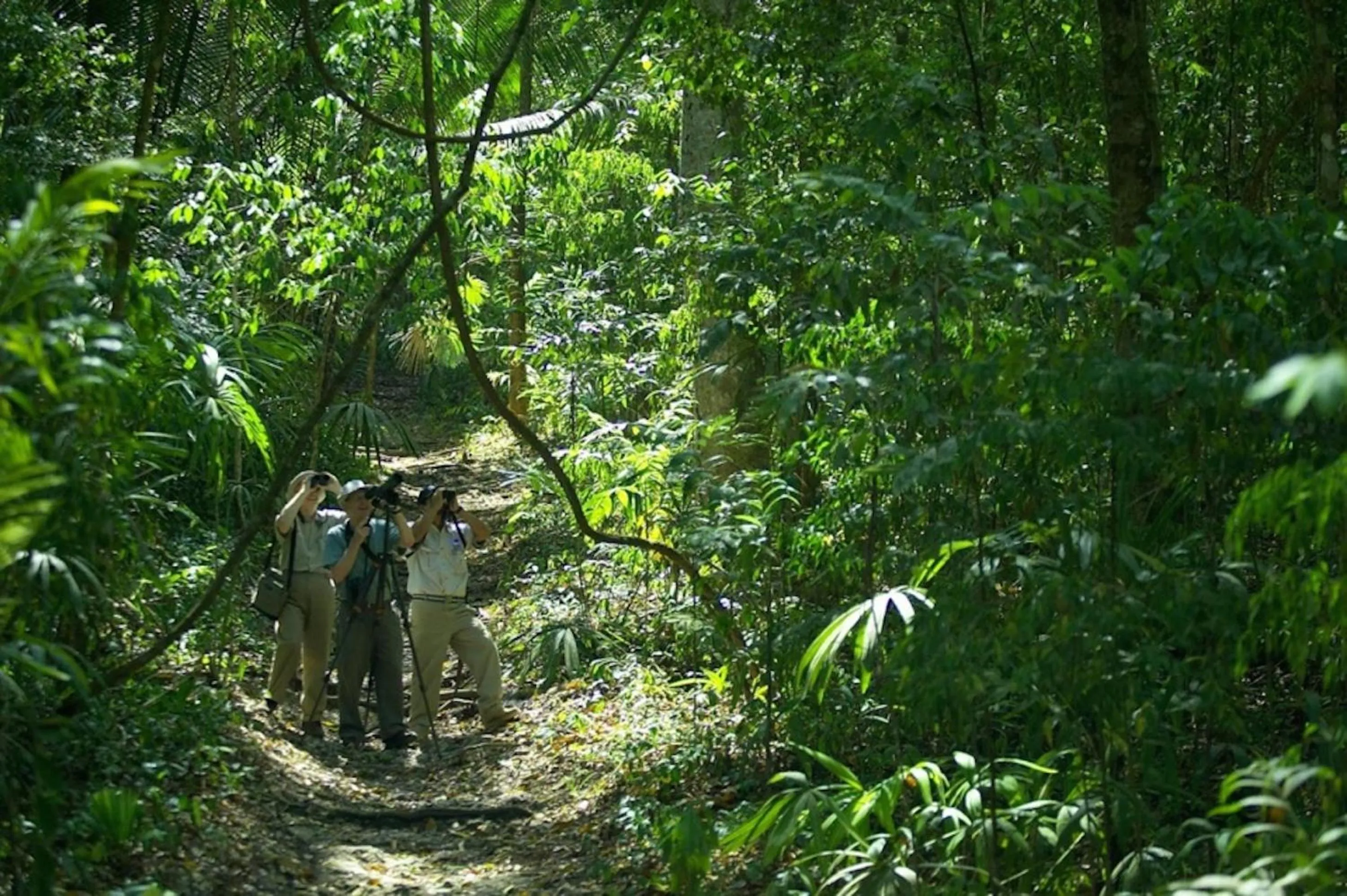 Activities in Chan Chich Lodge