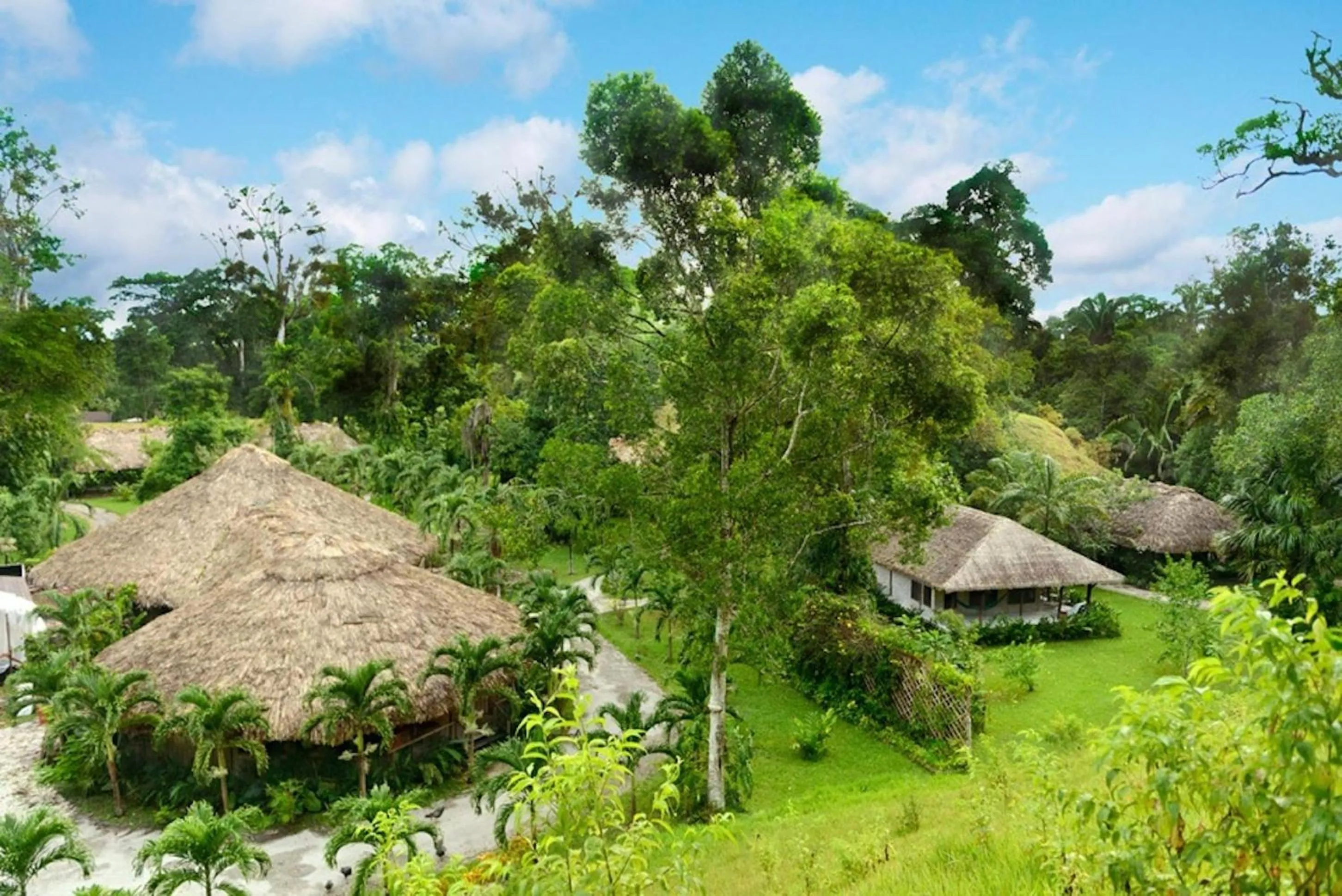 View (from property/room) in Chan Chich Lodge