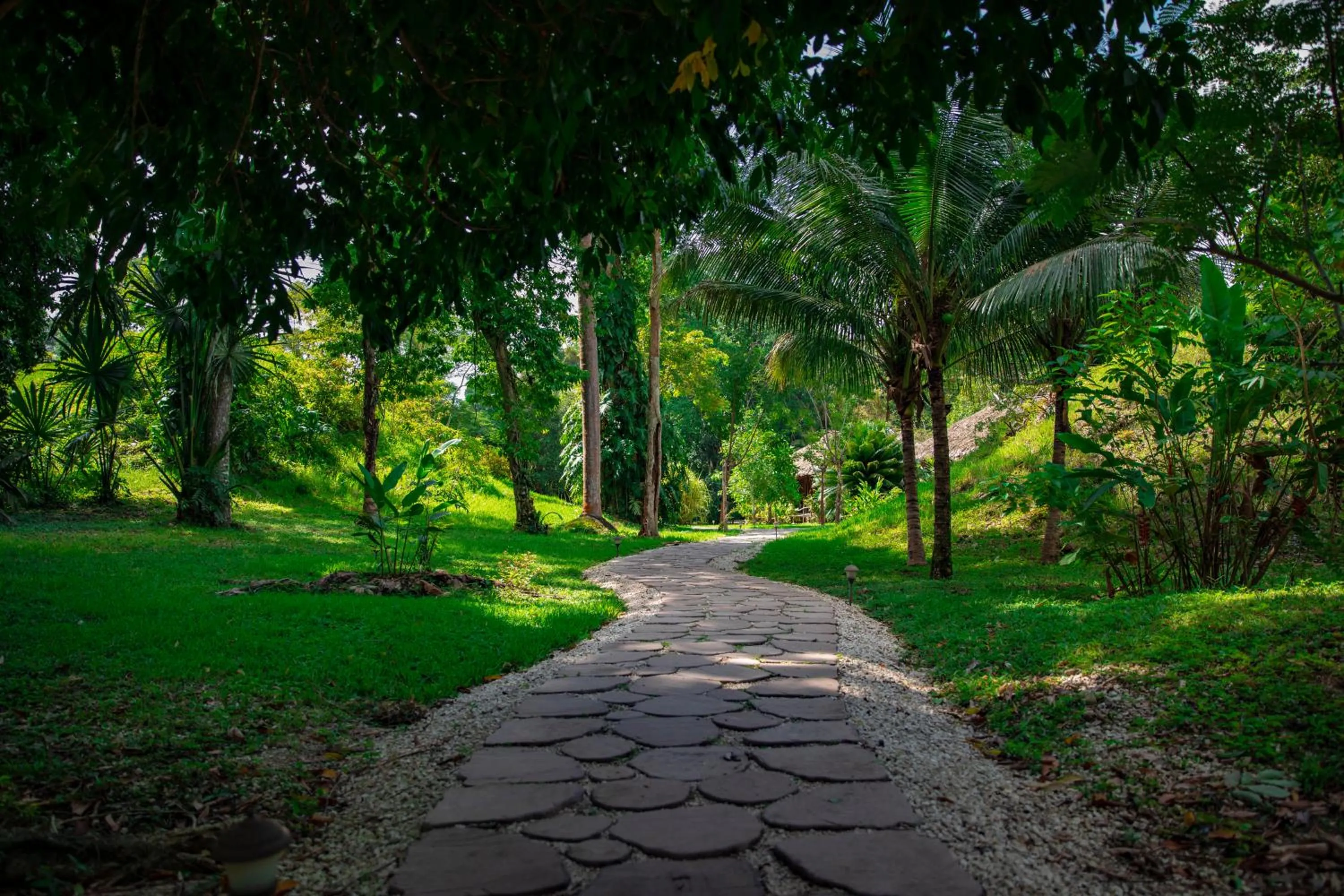 View (from property/room) in Chan Chich Lodge