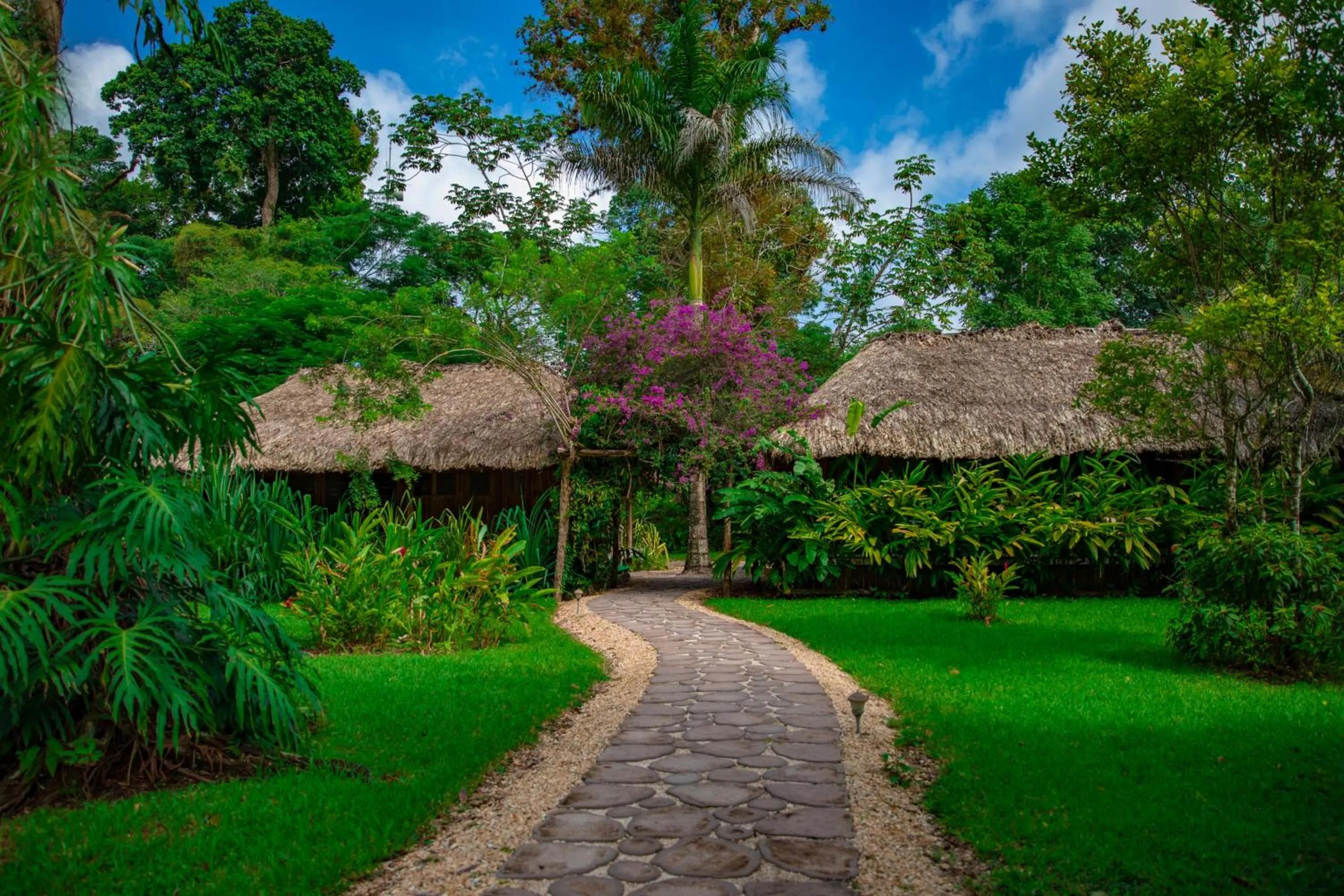 Garden view in Chan Chich Lodge