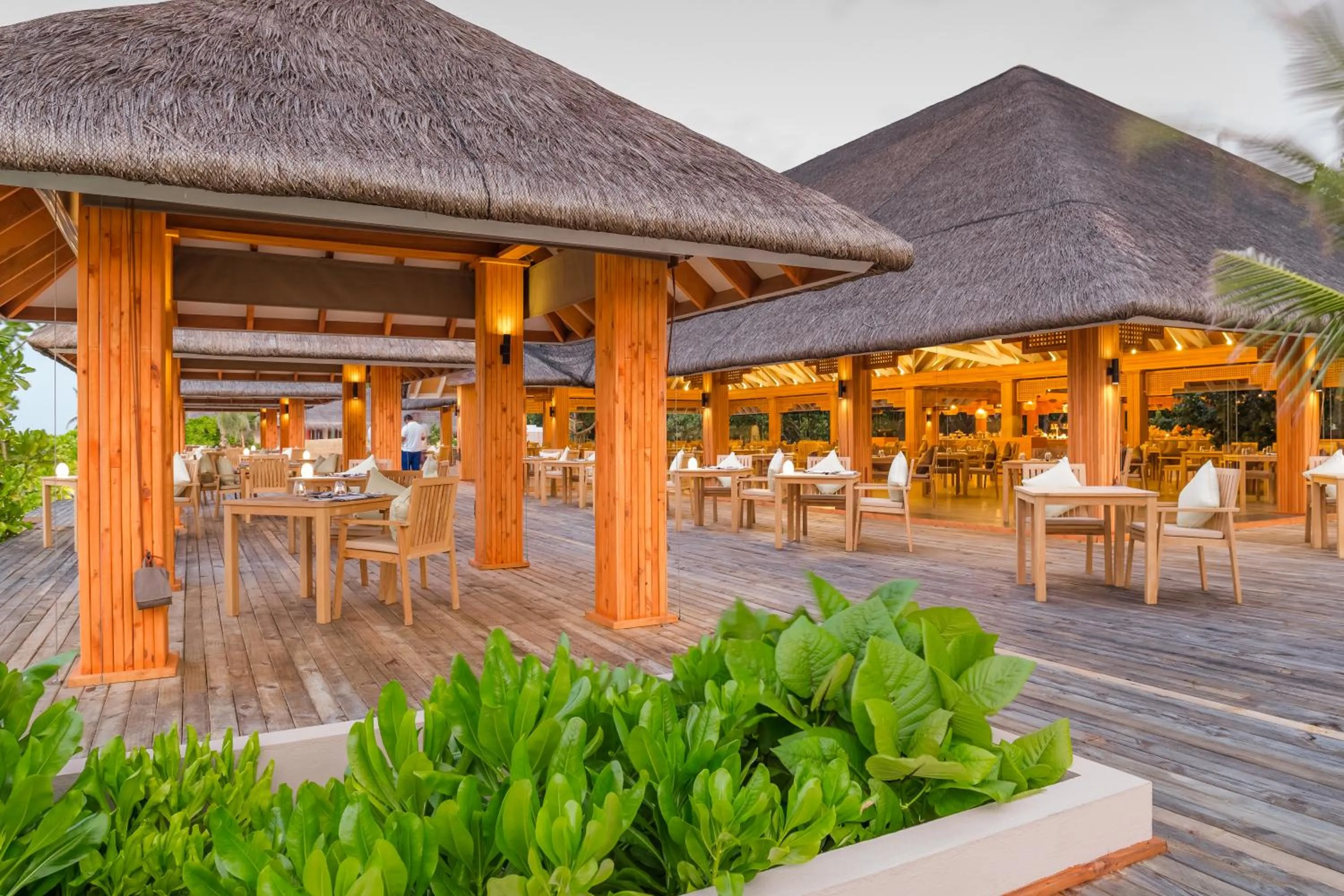 Restaurant/places to eat in Kudafushi Resort & Spa