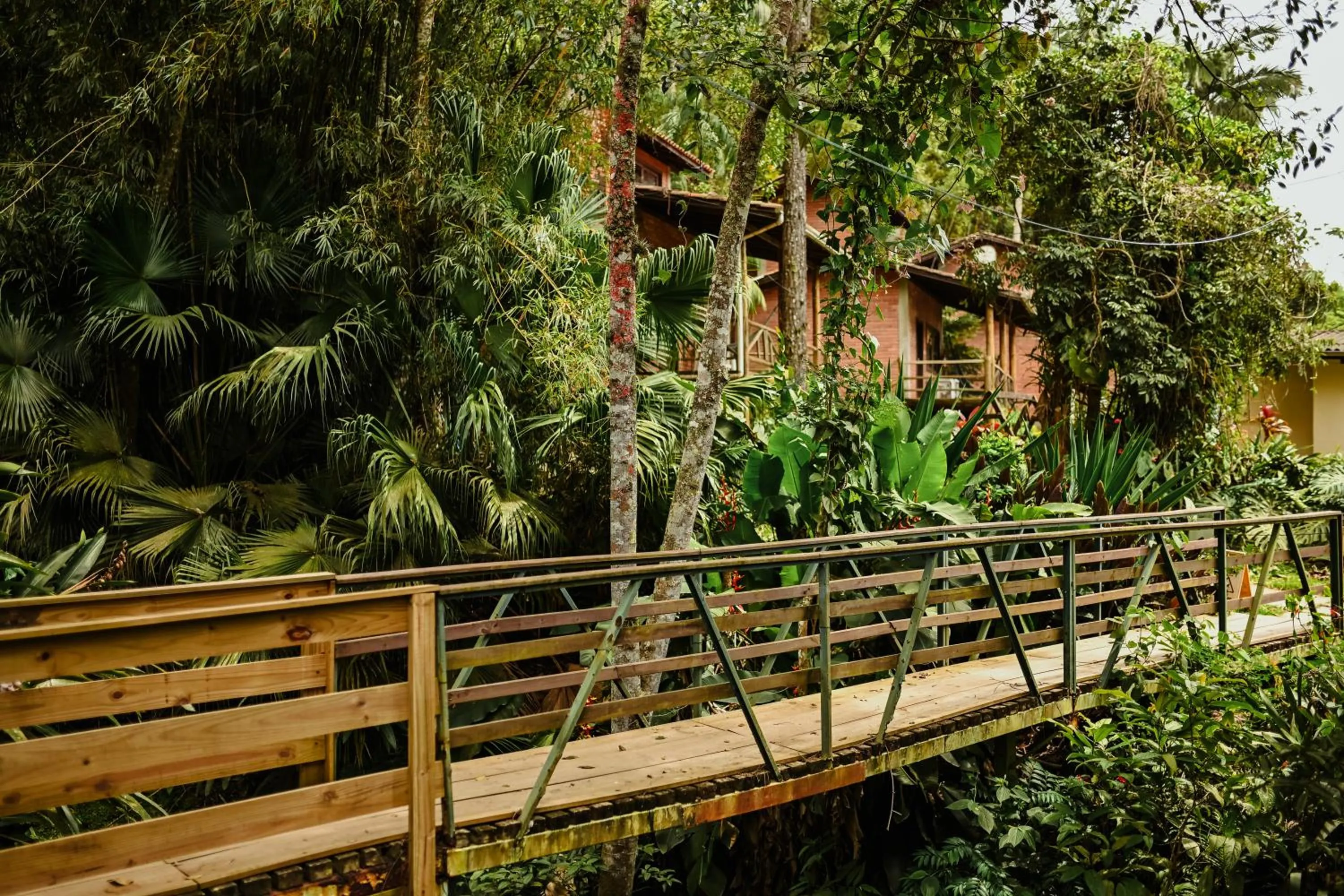 Garden in Pousada Nosso Bosque