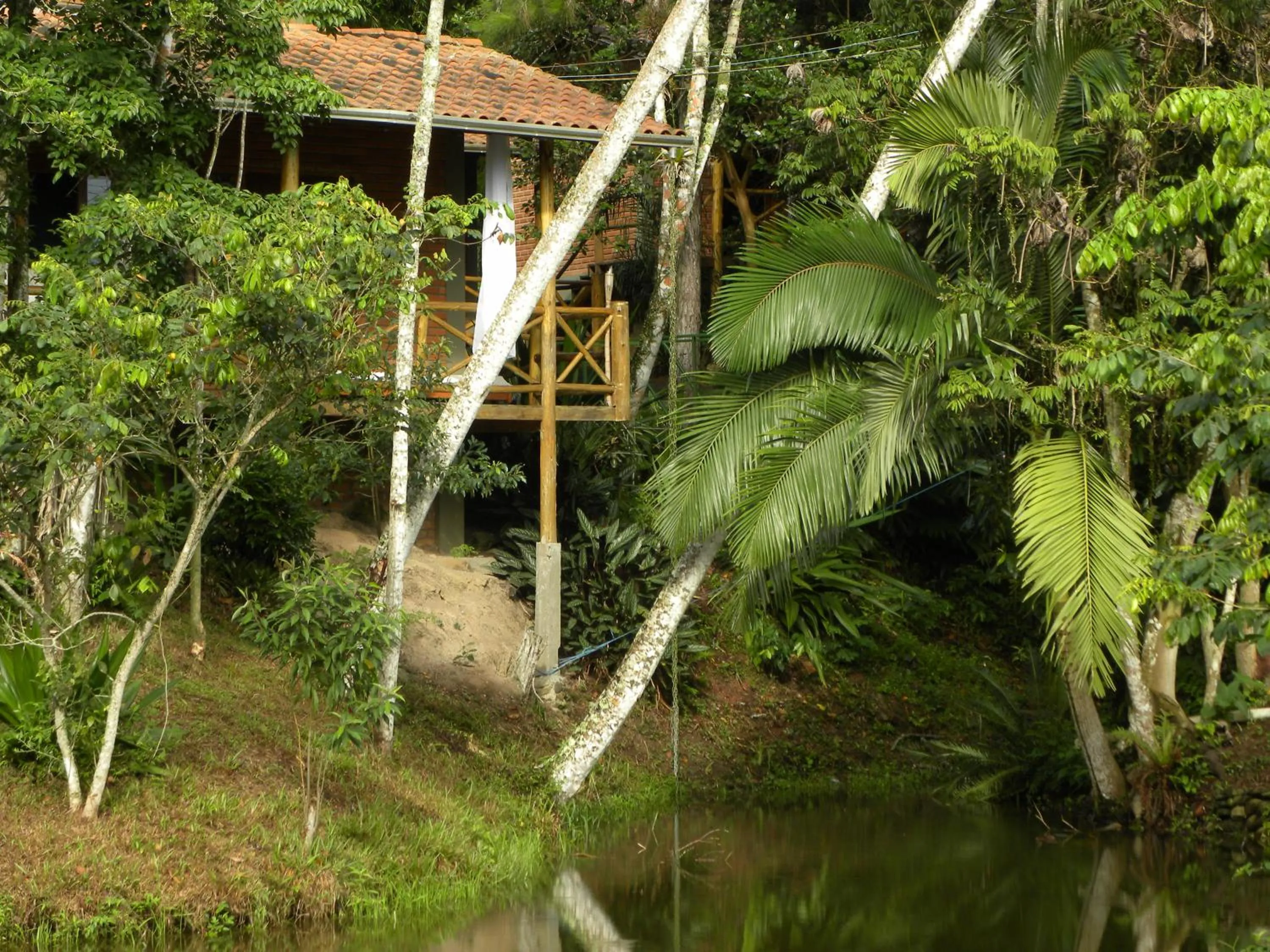 Lake view in Pousada Nosso Bosque