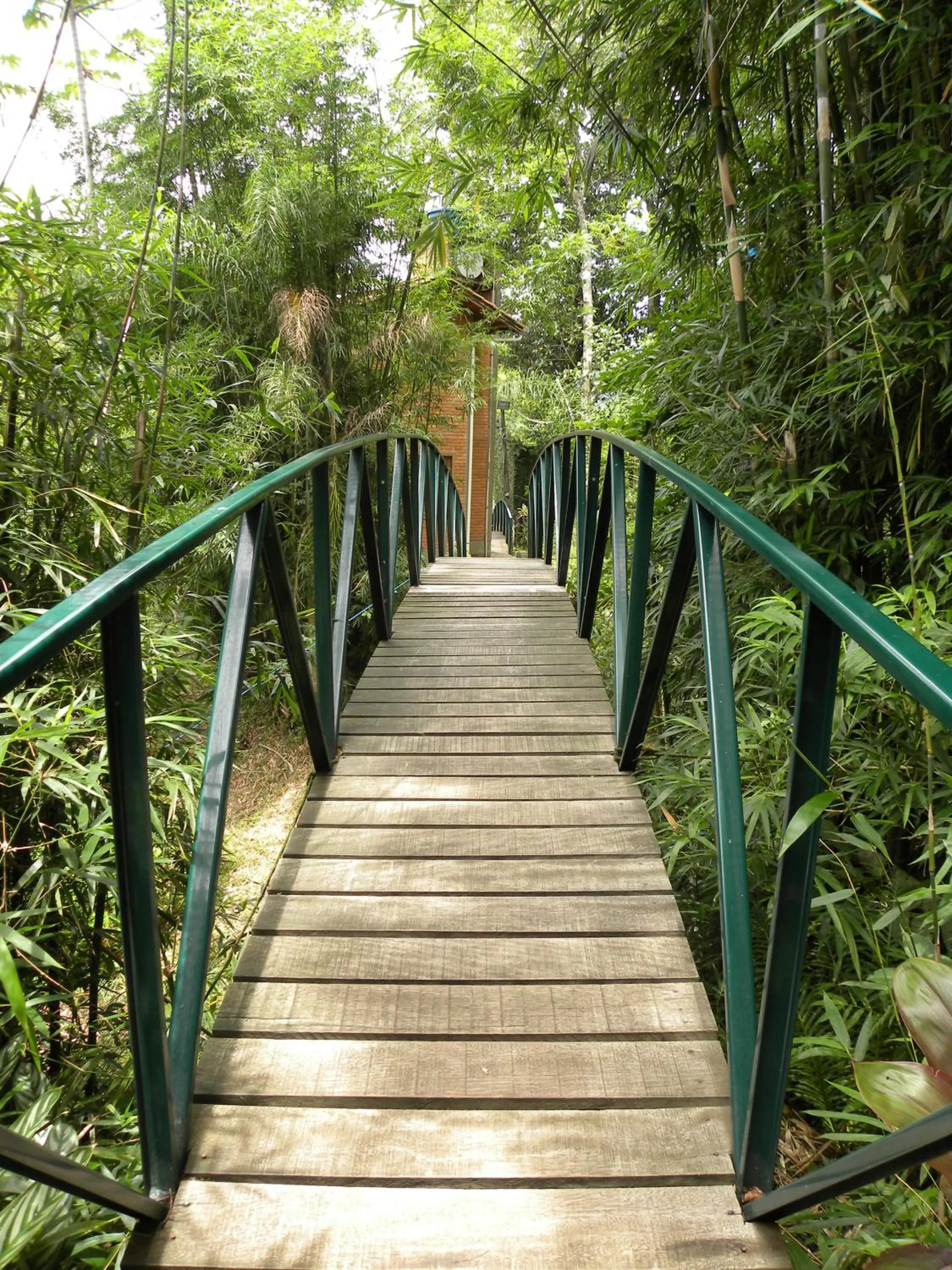 Garden in Pousada Nosso Bosque