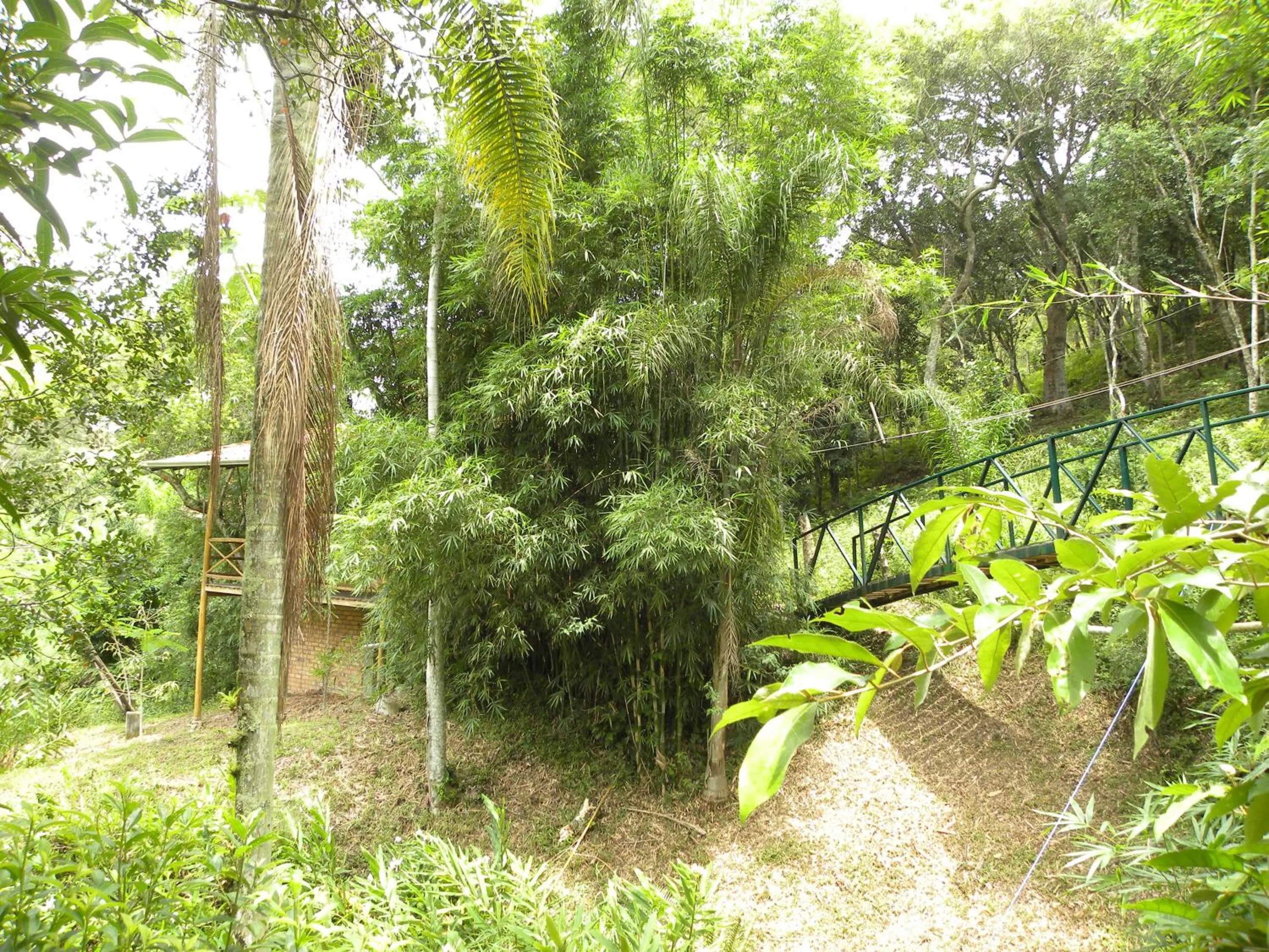 Garden view in Pousada Nosso Bosque