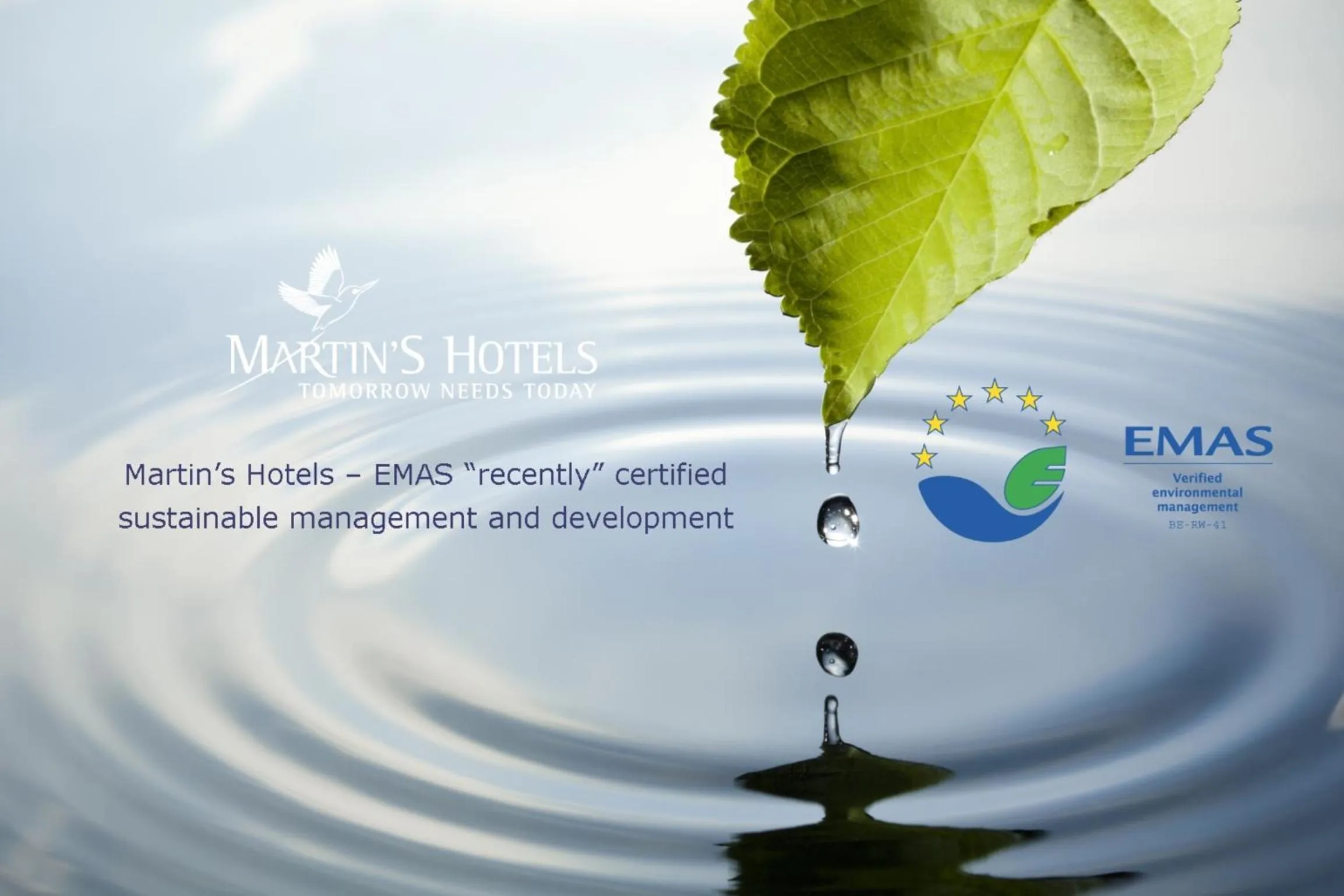 Decorative detail in Martin's Manoir